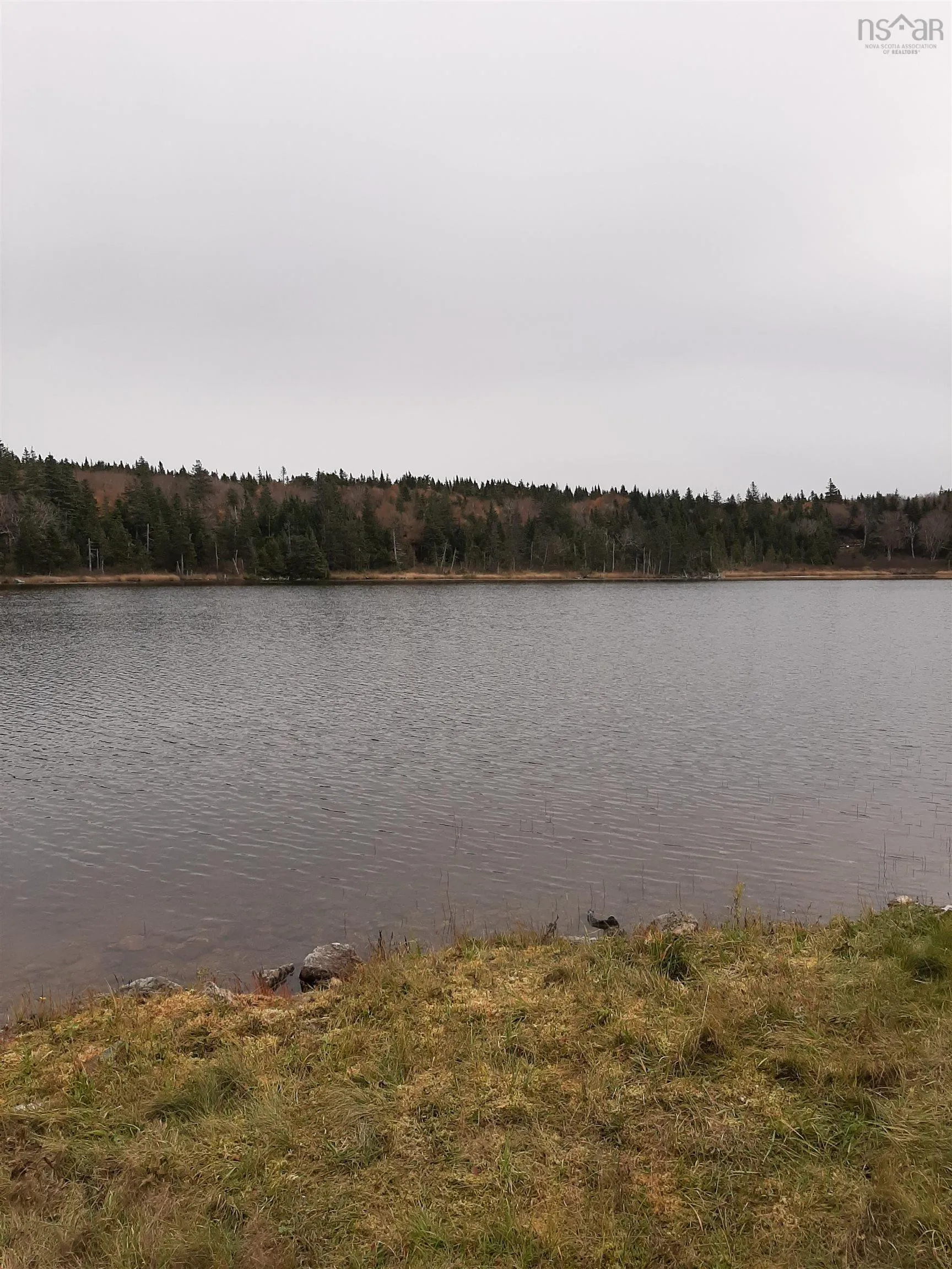 Tower Road, Plateau Ns B0e 1h0, ,Land,For Sale,Tower,202428569
