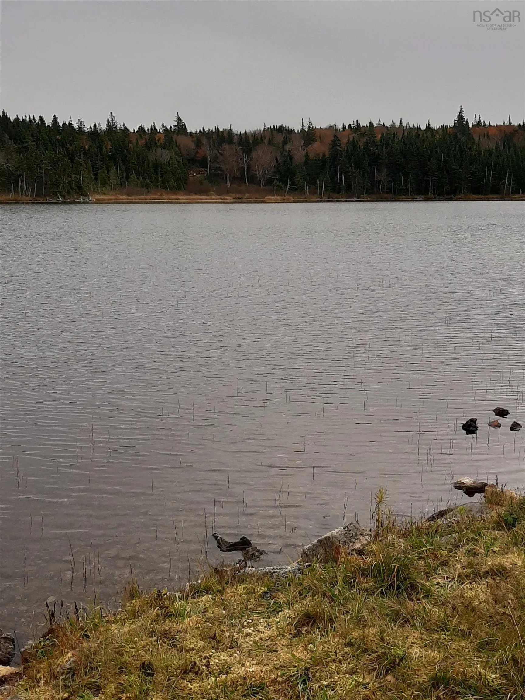 Tower Road, Plateau Ns B0e 1h0, ,Land,For Sale,Tower,202428569