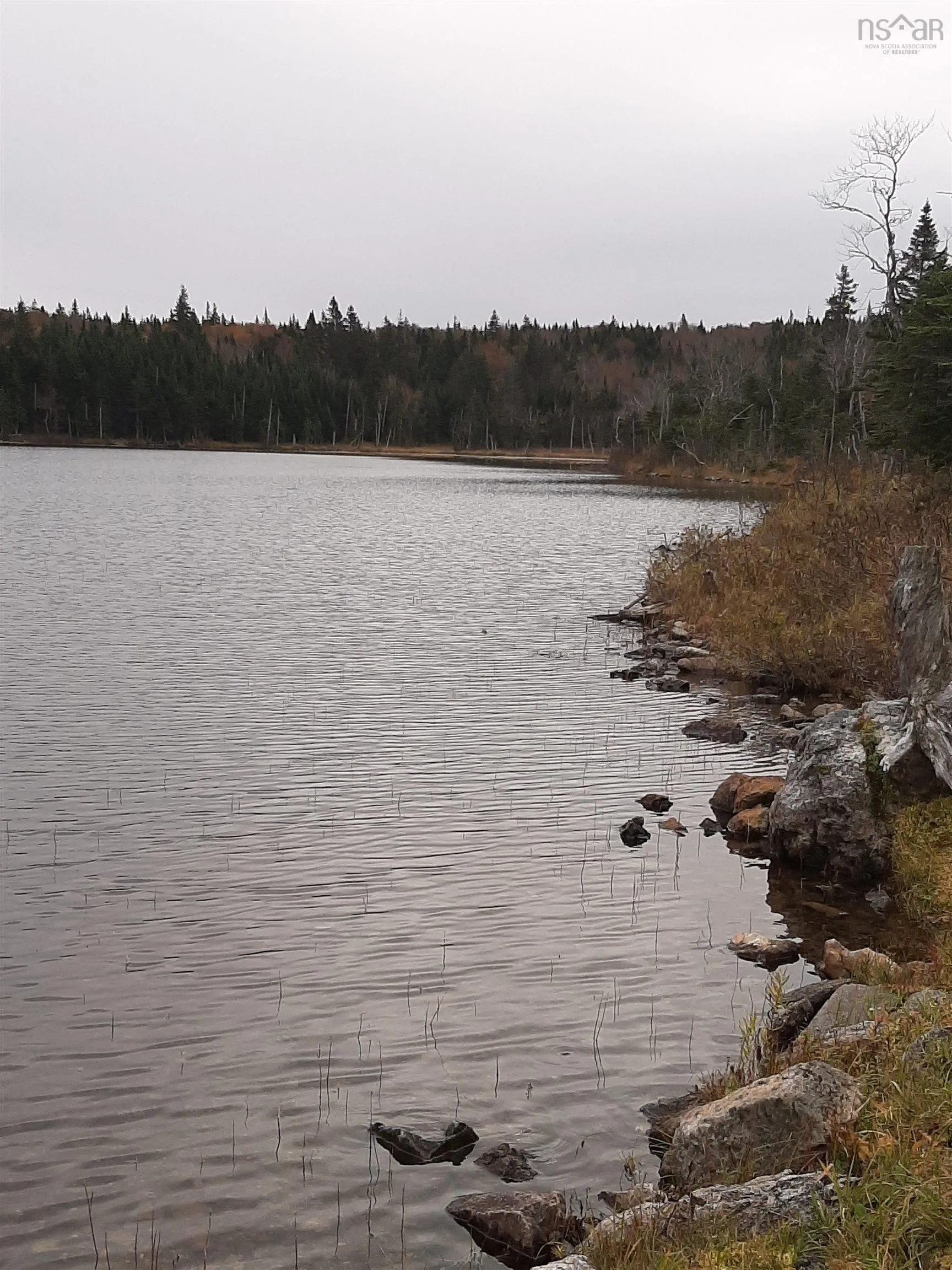 Tower Road, Plateau Ns B0e 1h0, ,Land,For Sale,Tower,202428569