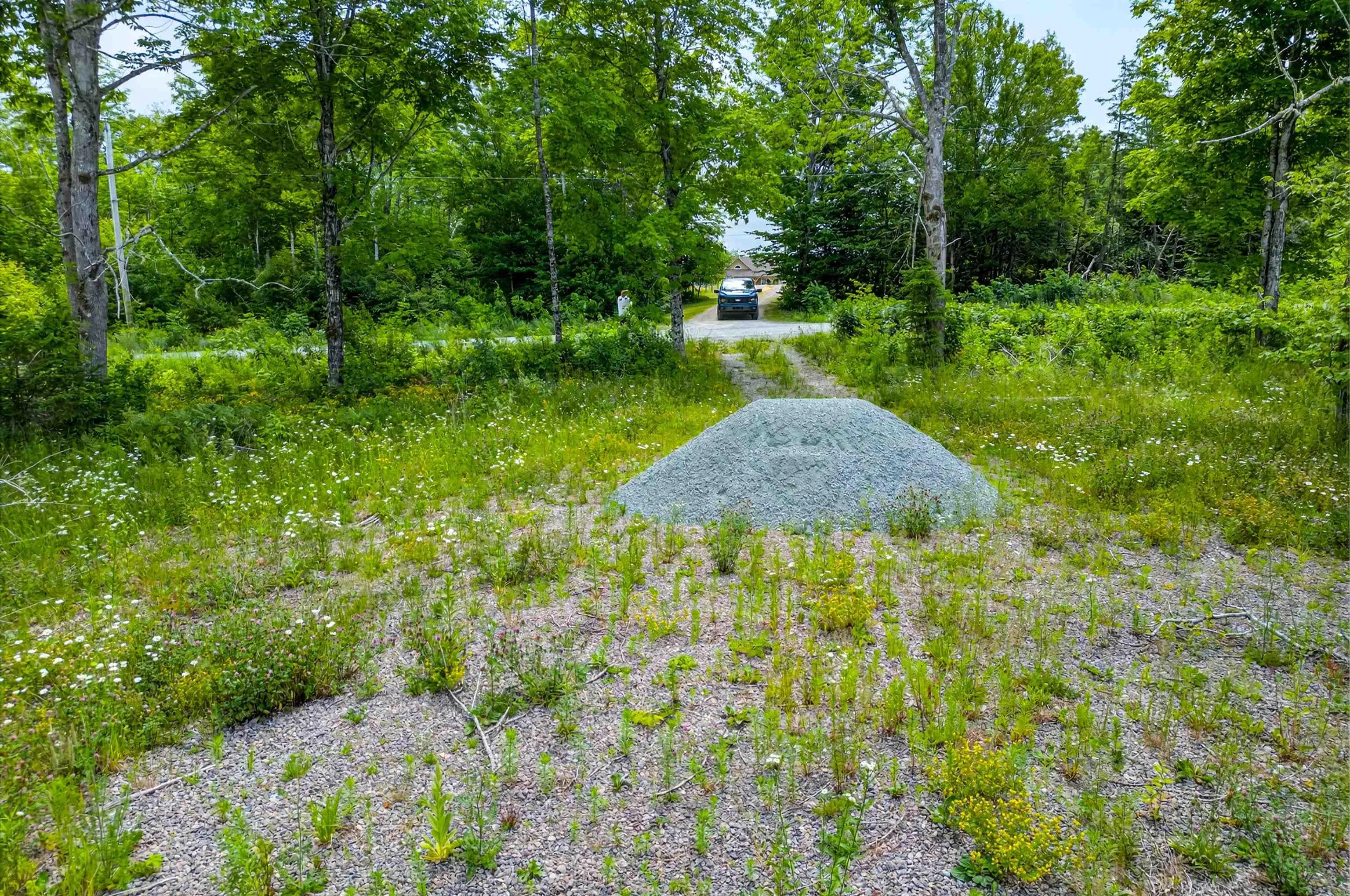 Brookland Road, Brookland, NS B0K 1P0, ,Land,For Sale,Brookland,202516471