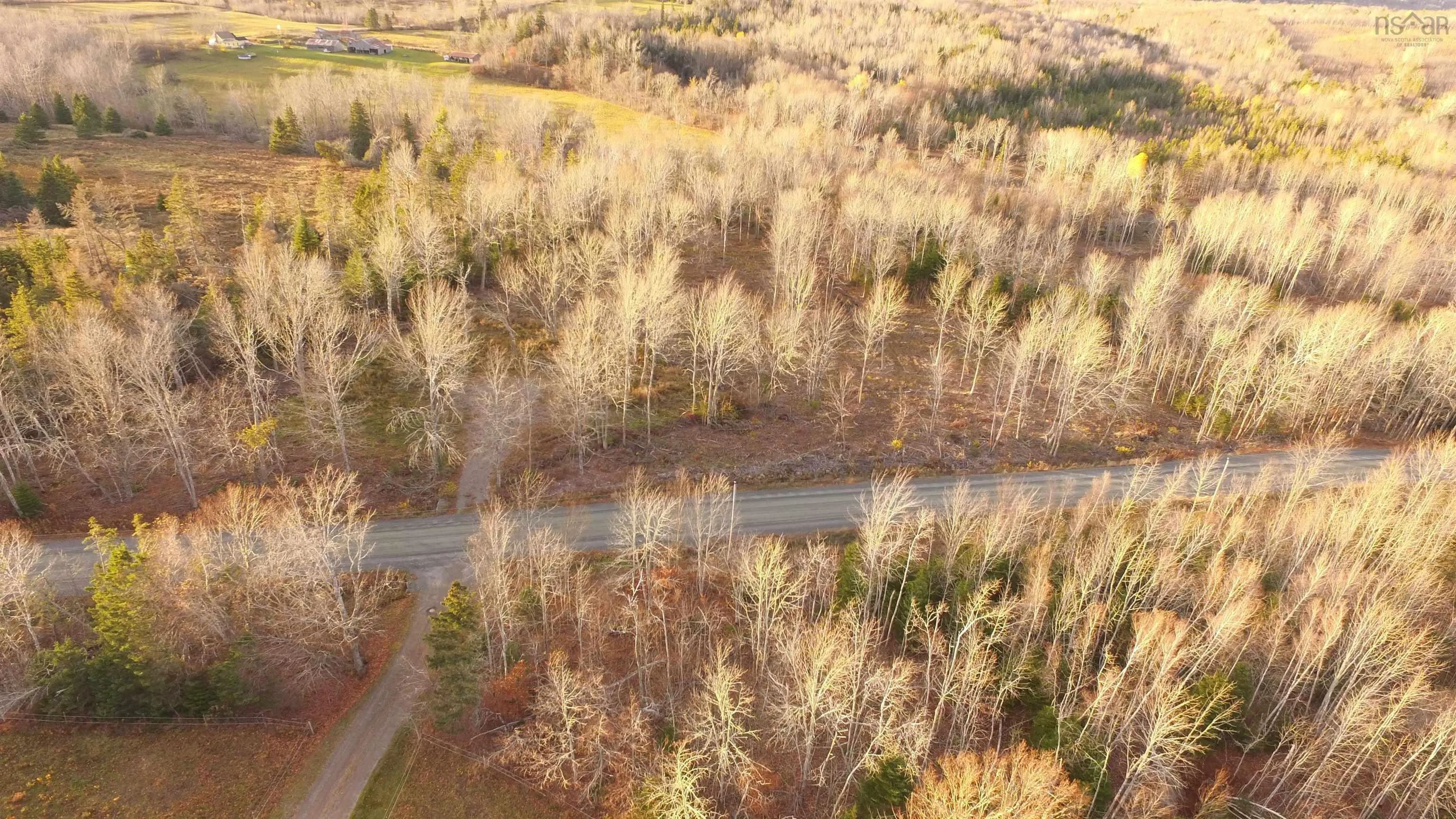 Brookland Road, Brookland, NS B0K 1P0, ,Land,For Sale,Brookland,202516471