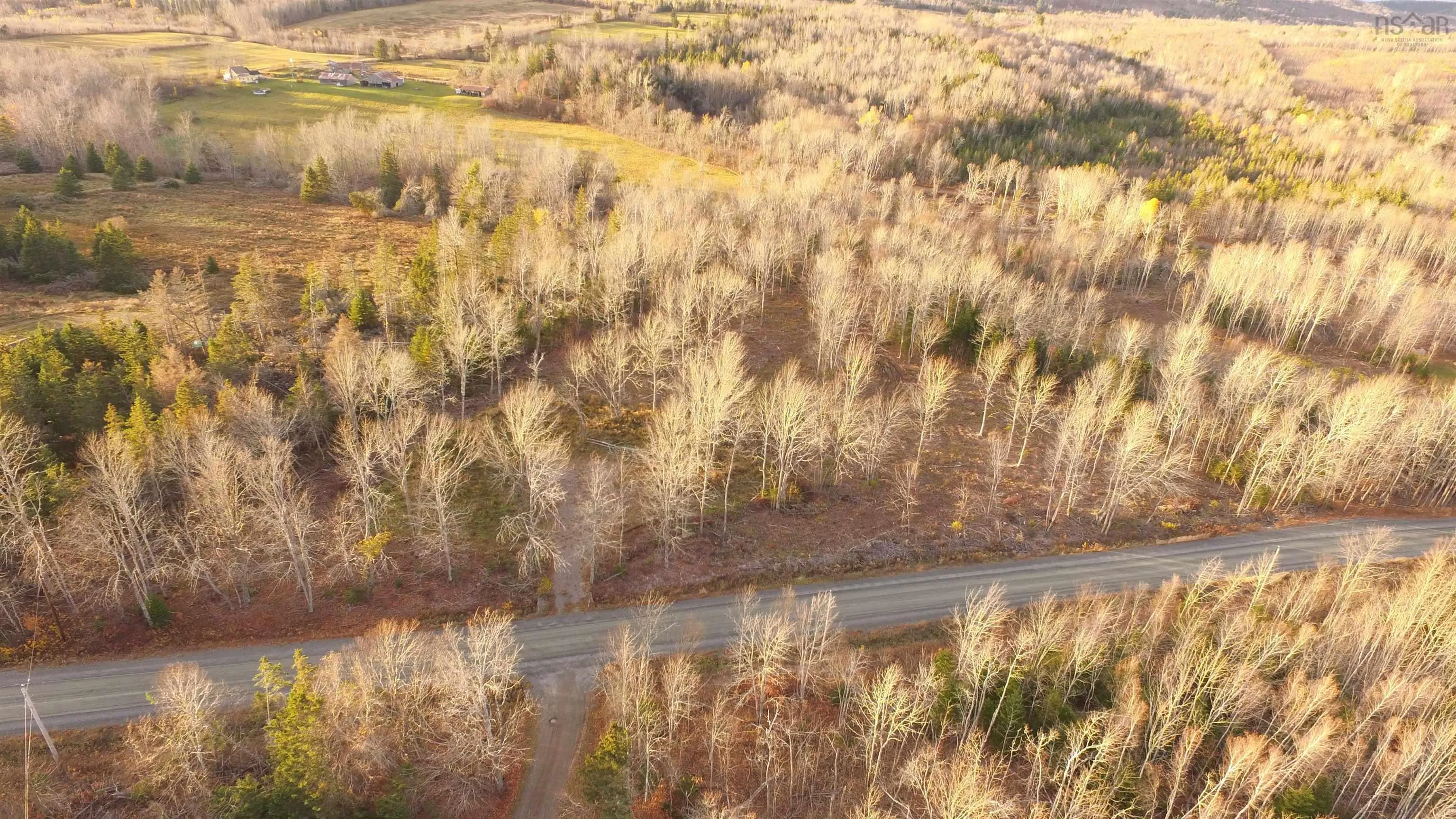 Brookland Road, Brookland, NS B0K 1P0, ,Land,For Sale,Brookland,202516471
