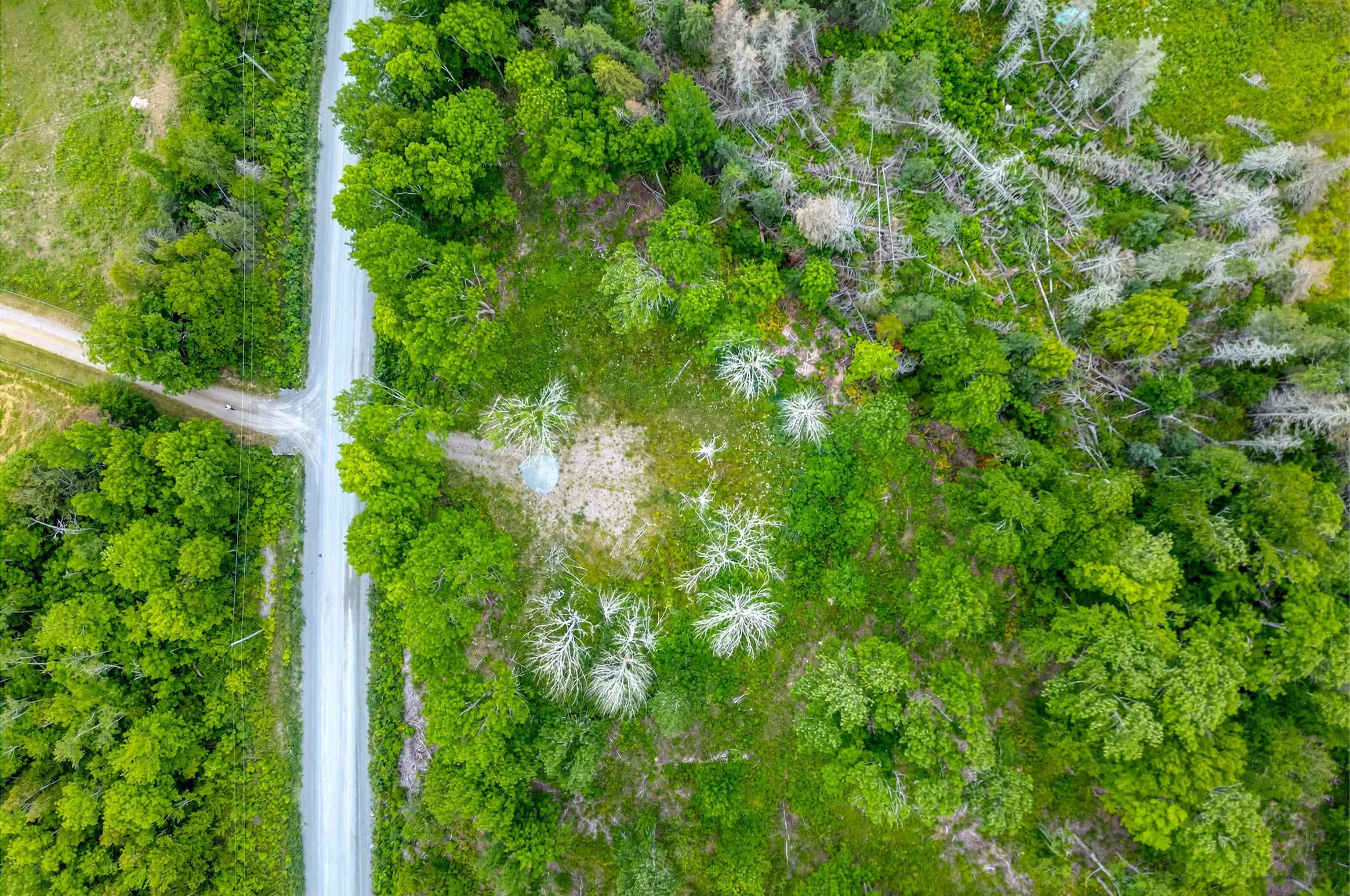 Brookland Road, Brookland, NS B0K 1P0, ,Land,For Sale,Brookland,202516471
