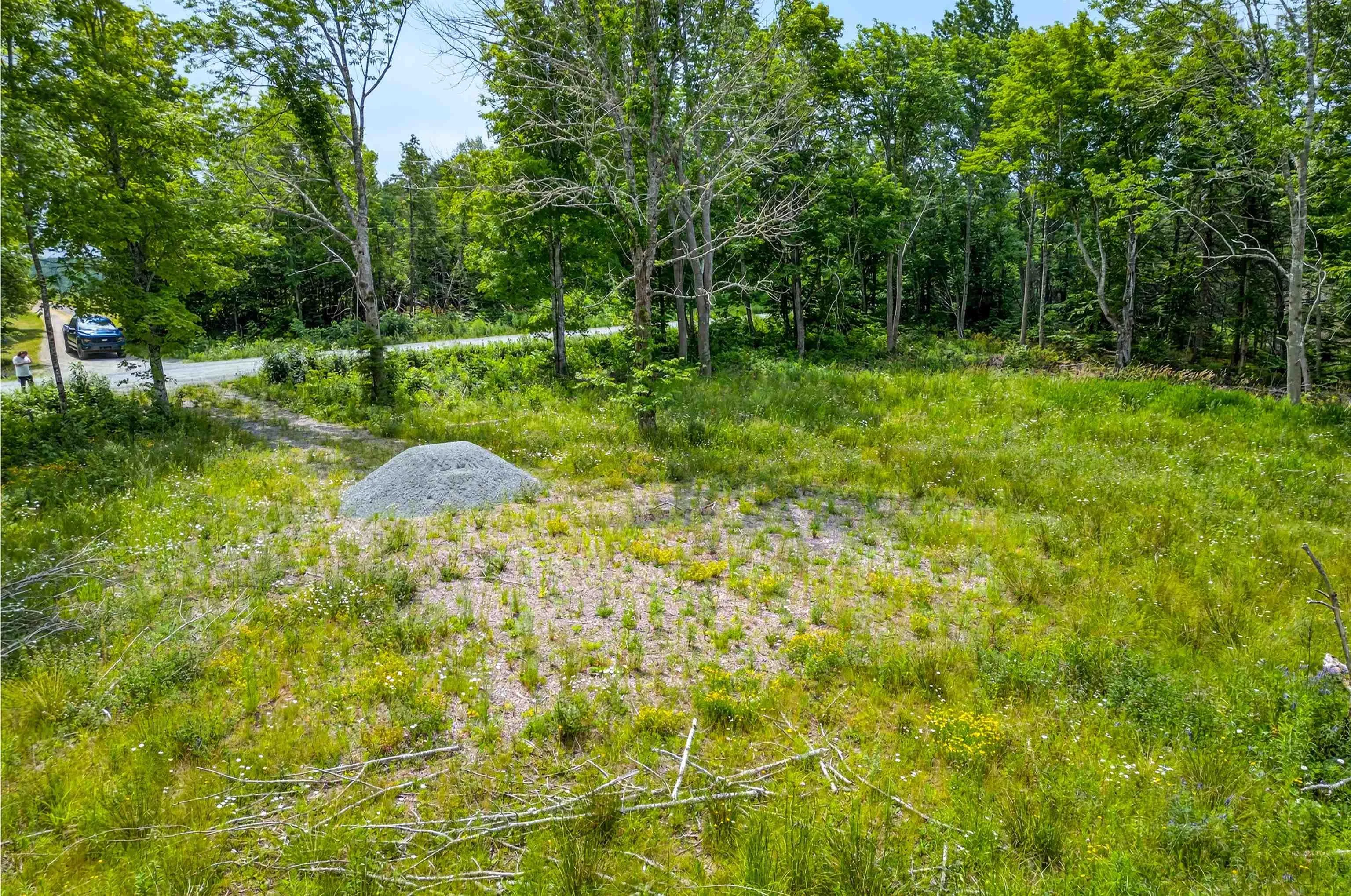 Brookland Road, Brookland, NS B0K 1P0, ,Land,For Sale,Brookland,202516471