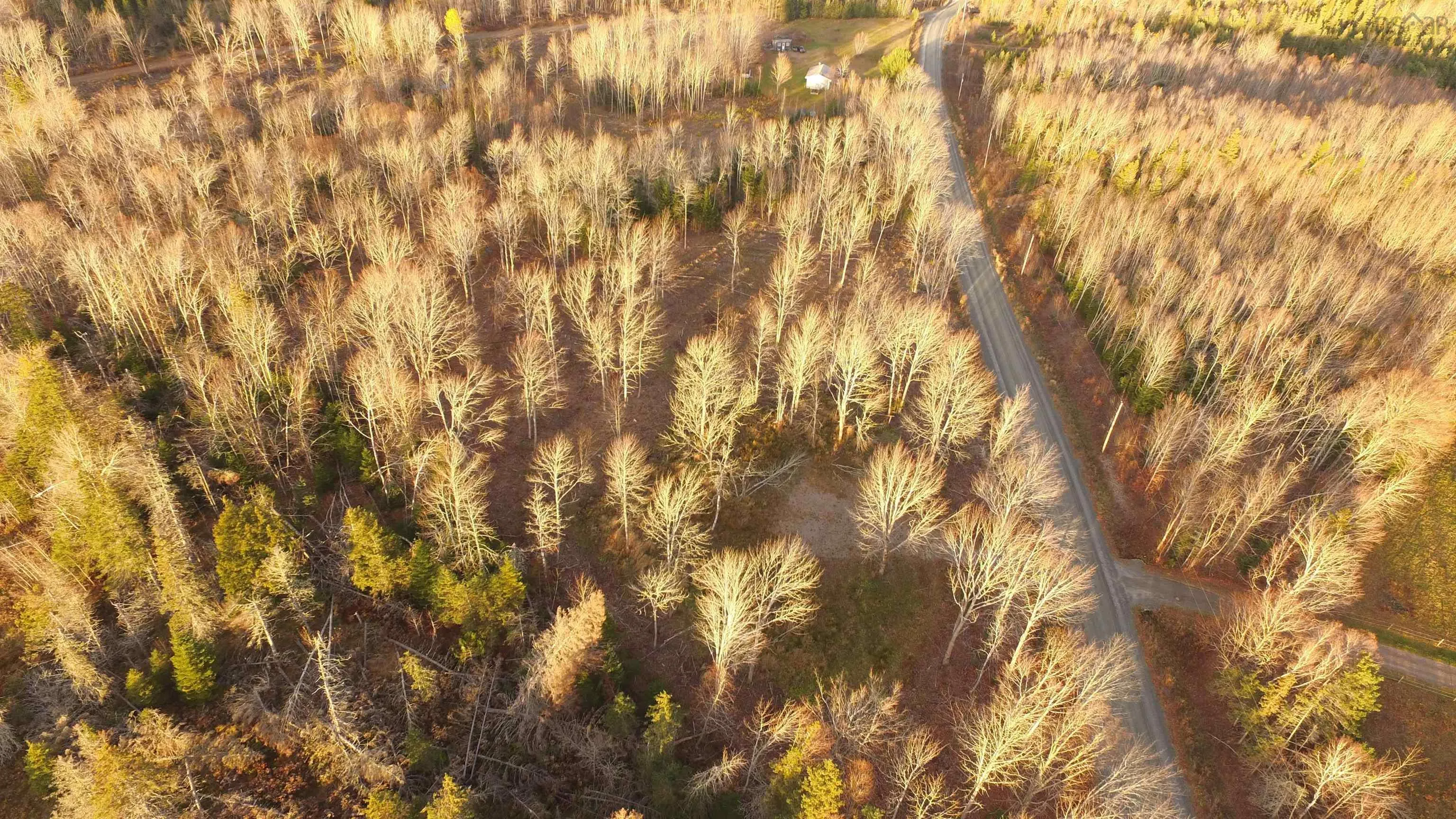Brookland Road, Brookland, NS B0K 1P0, ,Land,For Sale,Brookland,202516471