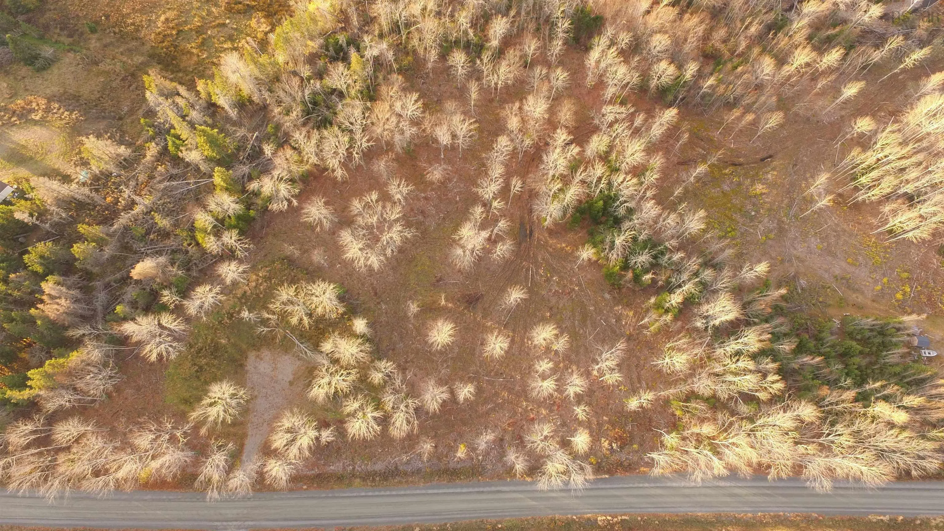Brookland Road, Brookland, NS B0K 1P0, ,Land,For Sale,Brookland,202516471