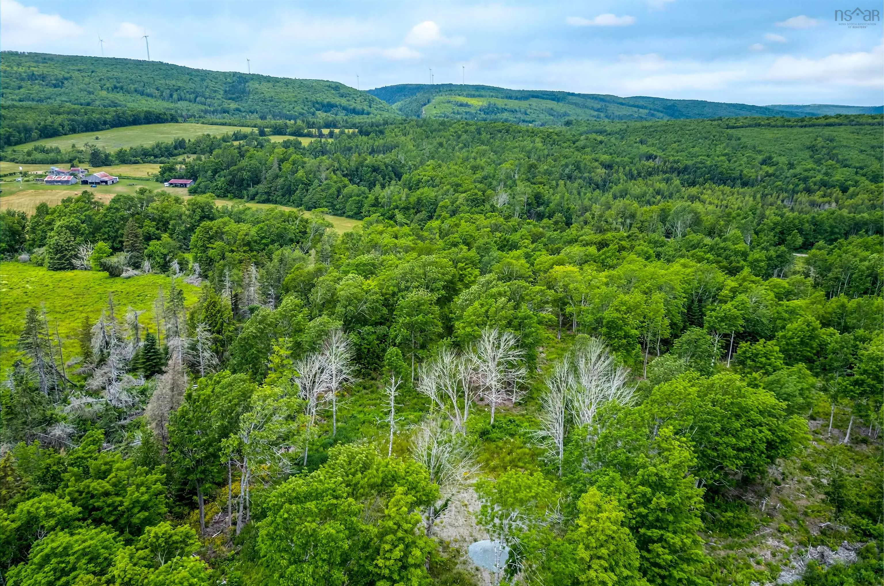 Brookland Road, Brookland, NS B0K 1P0, ,Land,For Sale,Brookland,202516471