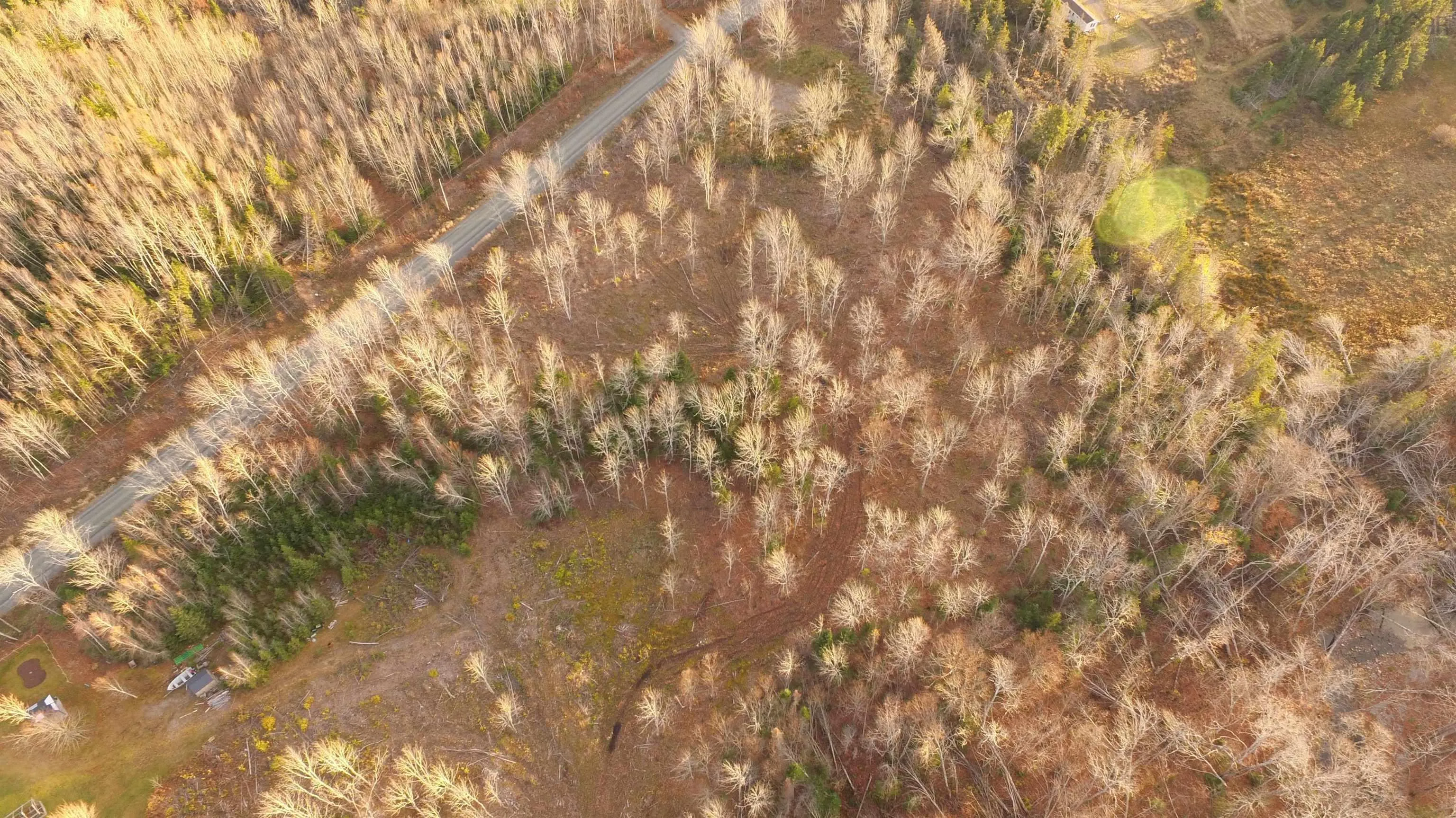 Brookland Road, Brookland, NS B0K 1P0, ,Land,For Sale,Brookland,202516471