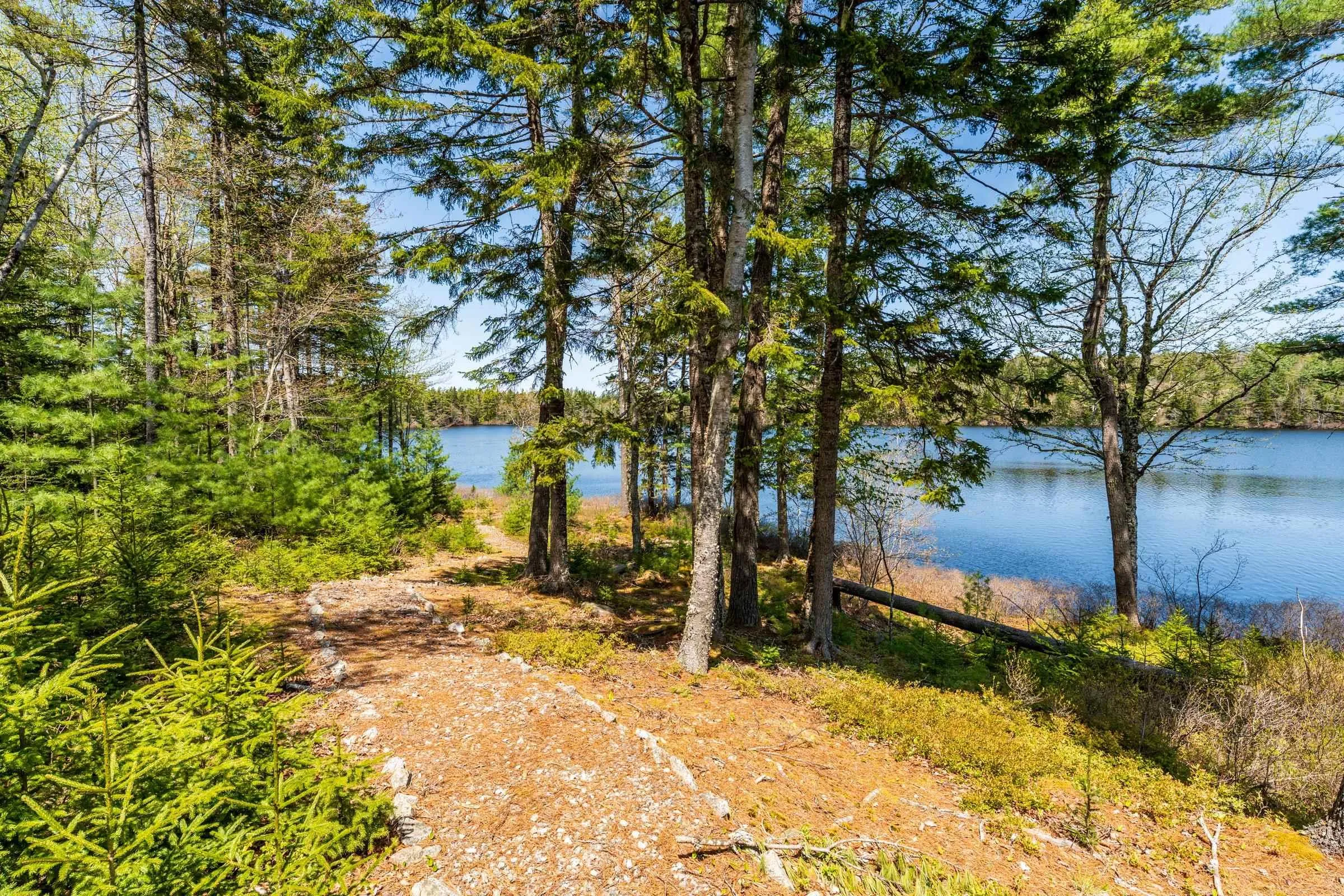 218 Little Halfway Lake Road, Kemptville, NS B5A 5P4, 2 Bedrooms Bedrooms, ,1 BathroomBathrooms,Residential,For Sale,Little Halfway Lake,202511825