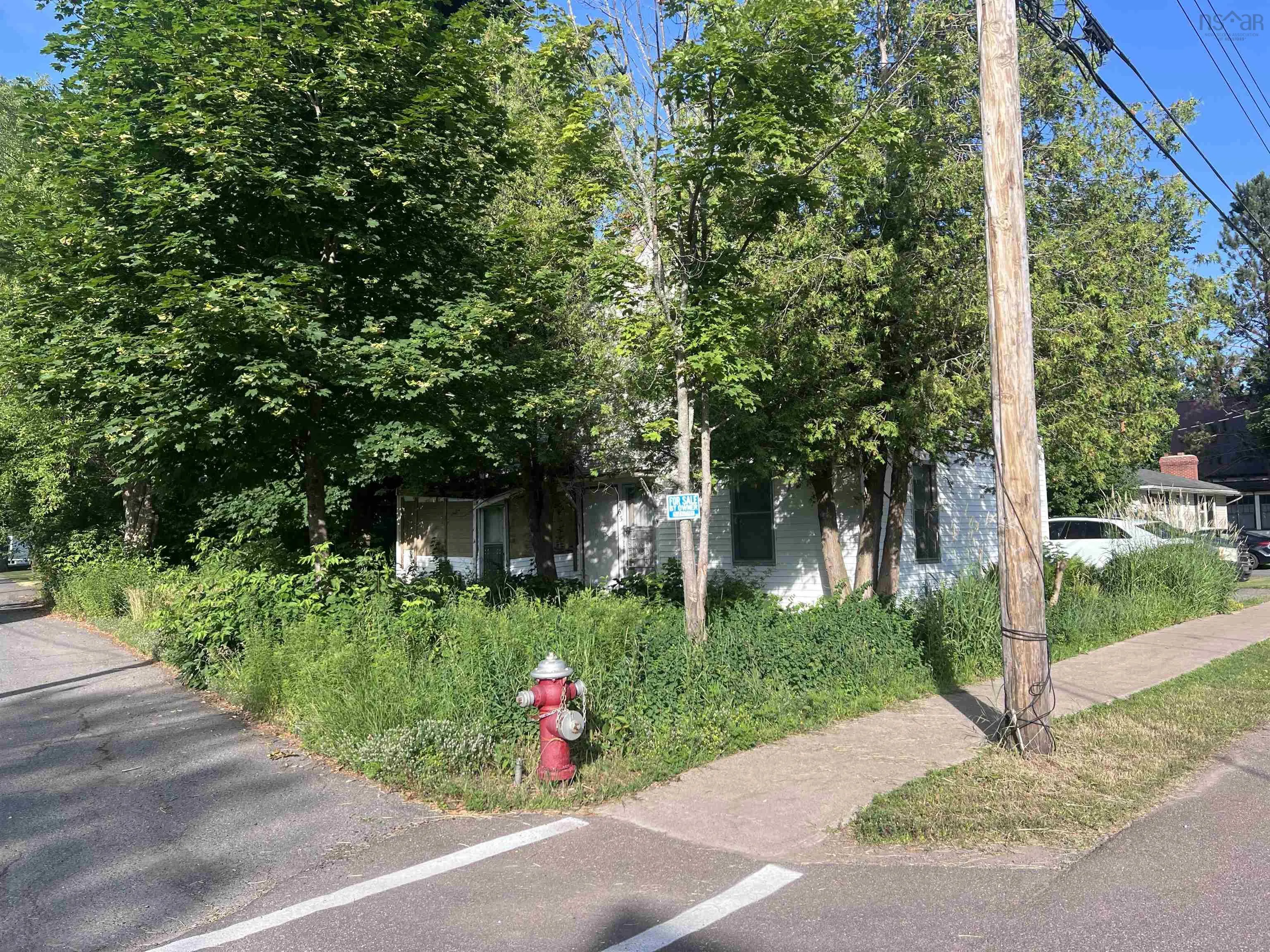 63 Elm Street, Oxford, NS B0M 1P0, ,Land,For Sale,Elm,202518998