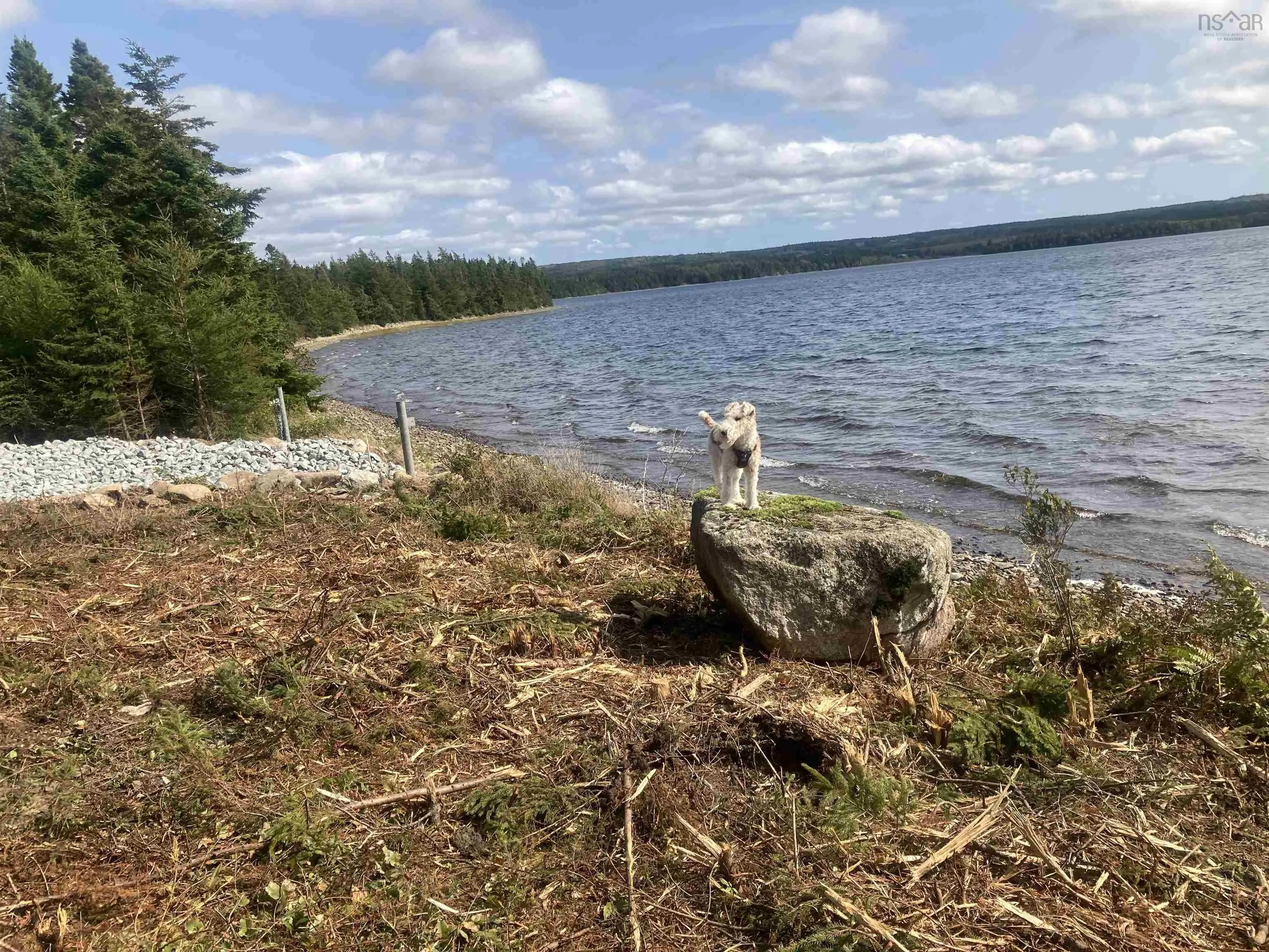731 Salem Road, Enon Ns B1j 1w3, ,Land,For Sale,Salem,202202730
