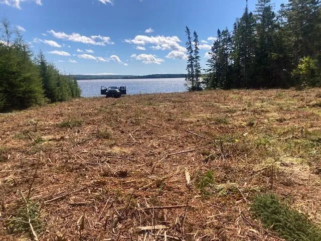 731 Salem Road, Enon Ns B1j 1w3, ,Land,For Sale,Salem,202202730