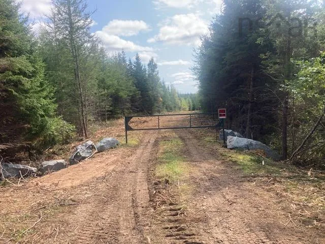 731 Salem Road, Enon Ns B1j 1w3, ,Land,For Sale,Salem,202202730