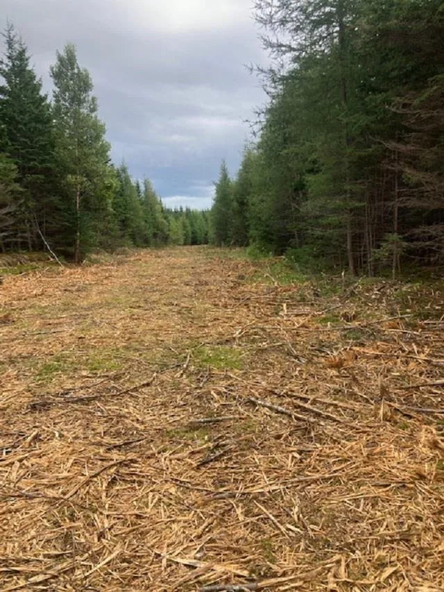 731 Salem Road, Enon Ns B1j 1w3, ,Land,For Sale,Salem,202202730