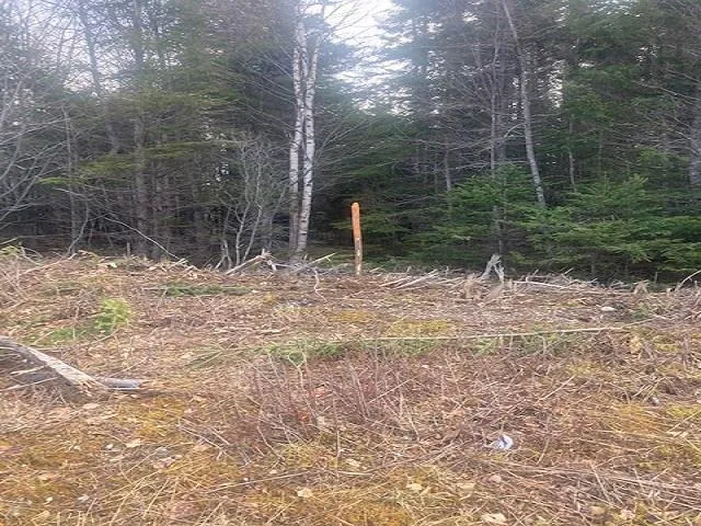 731 Salem Road, Enon Ns B1j 1w3, ,Land,For Sale,Salem,202202730