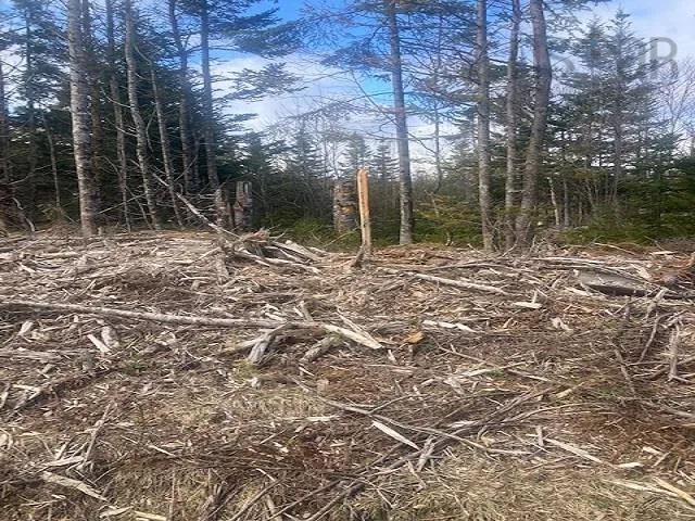 731 Salem Road, Enon Ns B1j 1w3, ,Land,For Sale,Salem,202202730