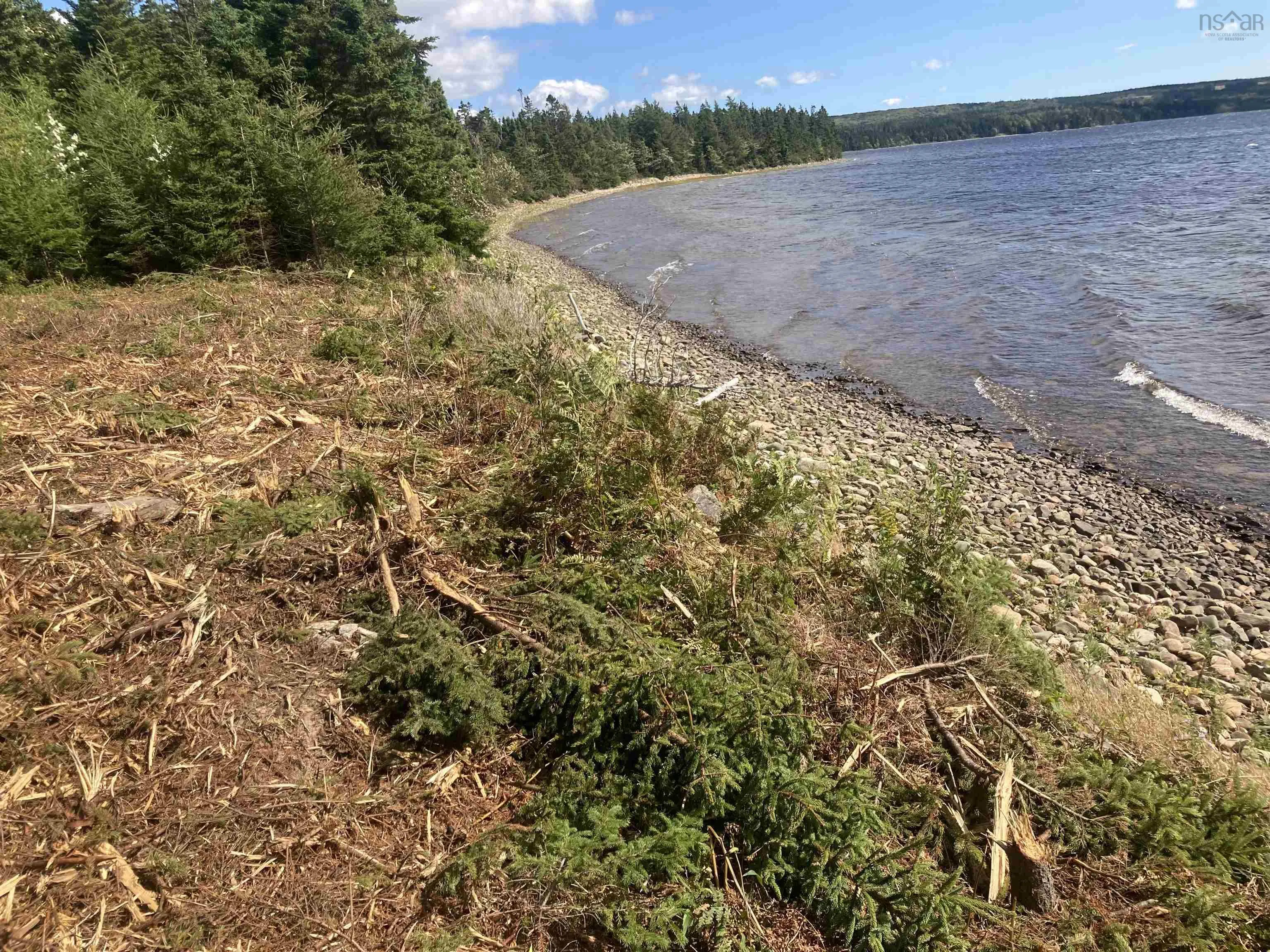 731 Salem Road, Enon Ns B1j 1w3, ,Land,For Sale,Salem,202202730