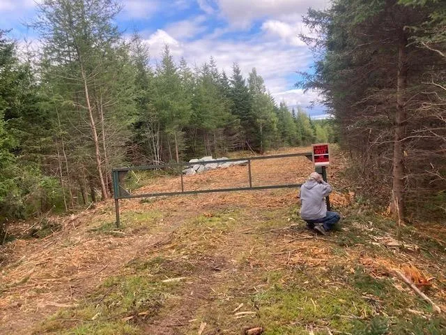 731 Salem Road, Enon Ns B1j 1w3, ,Land,For Sale,Salem,202202730