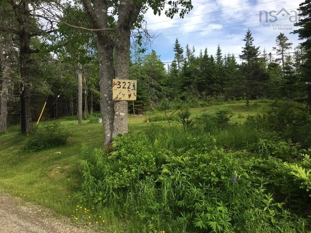 322 West Liscomb Point Road, West Liscomb, NS B0J 2A0, ,Land,For Sale,West Liscomb Point,202521875