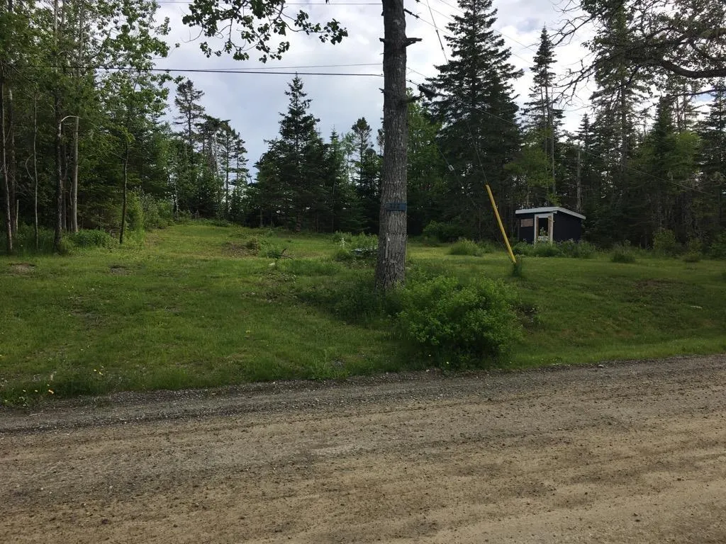 322 West Liscomb Point Road, West Liscomb, NS B0J 2A0, ,Land,For Sale,West Liscomb Point,202521875