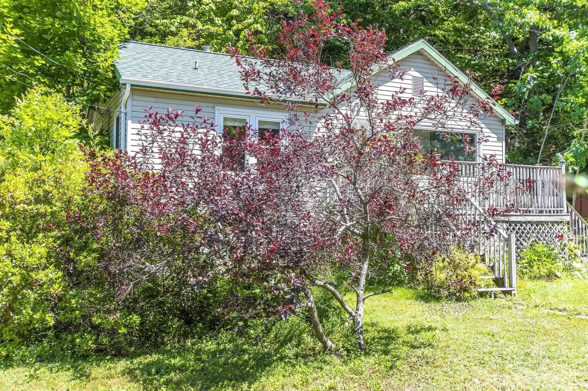79 Mountain Avenue, Dartmouth, NS B2X 1X9, 2 Bedrooms Bedrooms, ,1 BathroomBathrooms,Residential,For Sale,Mountain,202519990