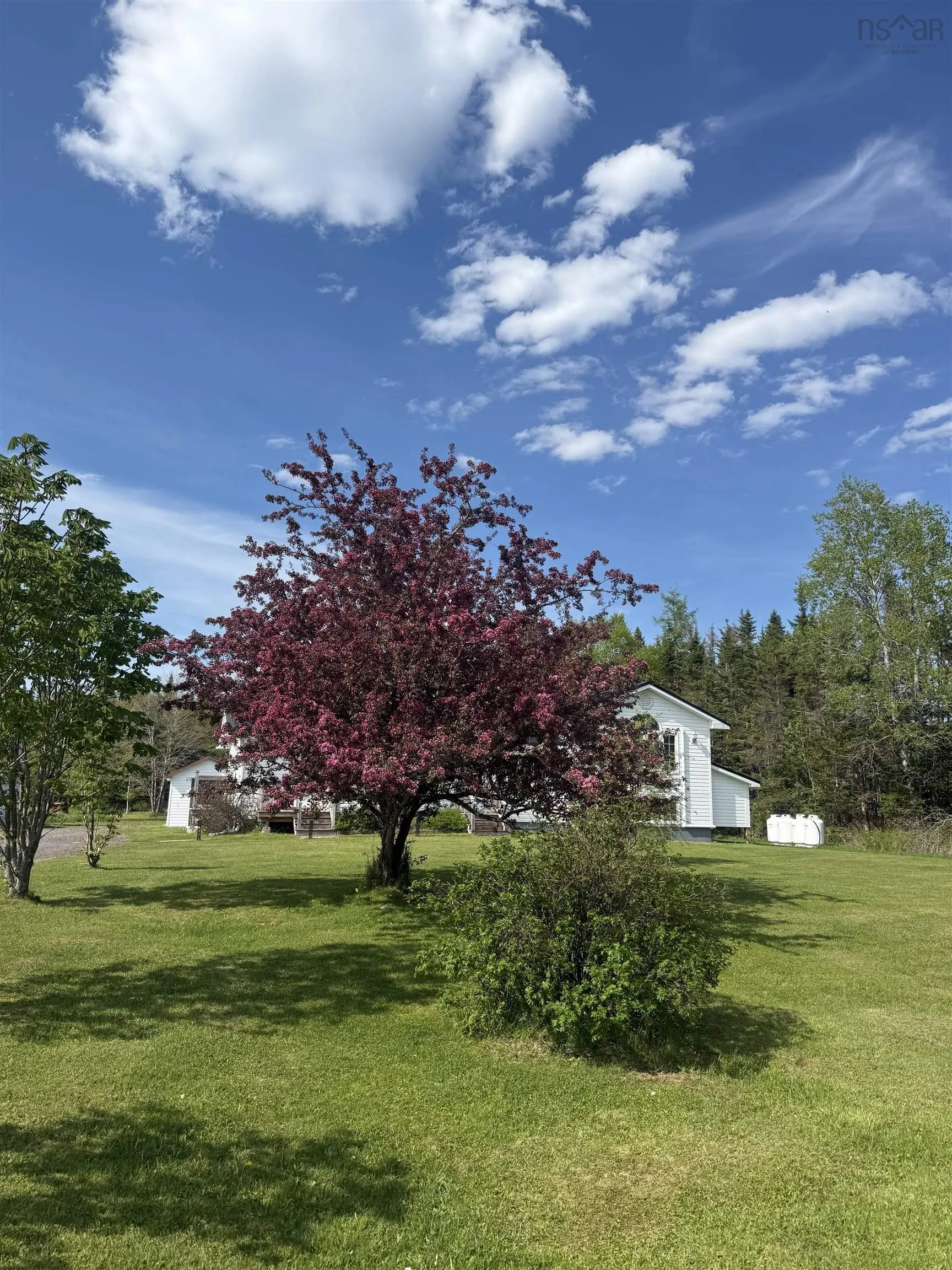 21067 316 Highway, Goshen Ns B0h 1m0, 3 Bedrooms Bedrooms, ,2 BathroomsBathrooms,Residential,For Sale,316,202508066