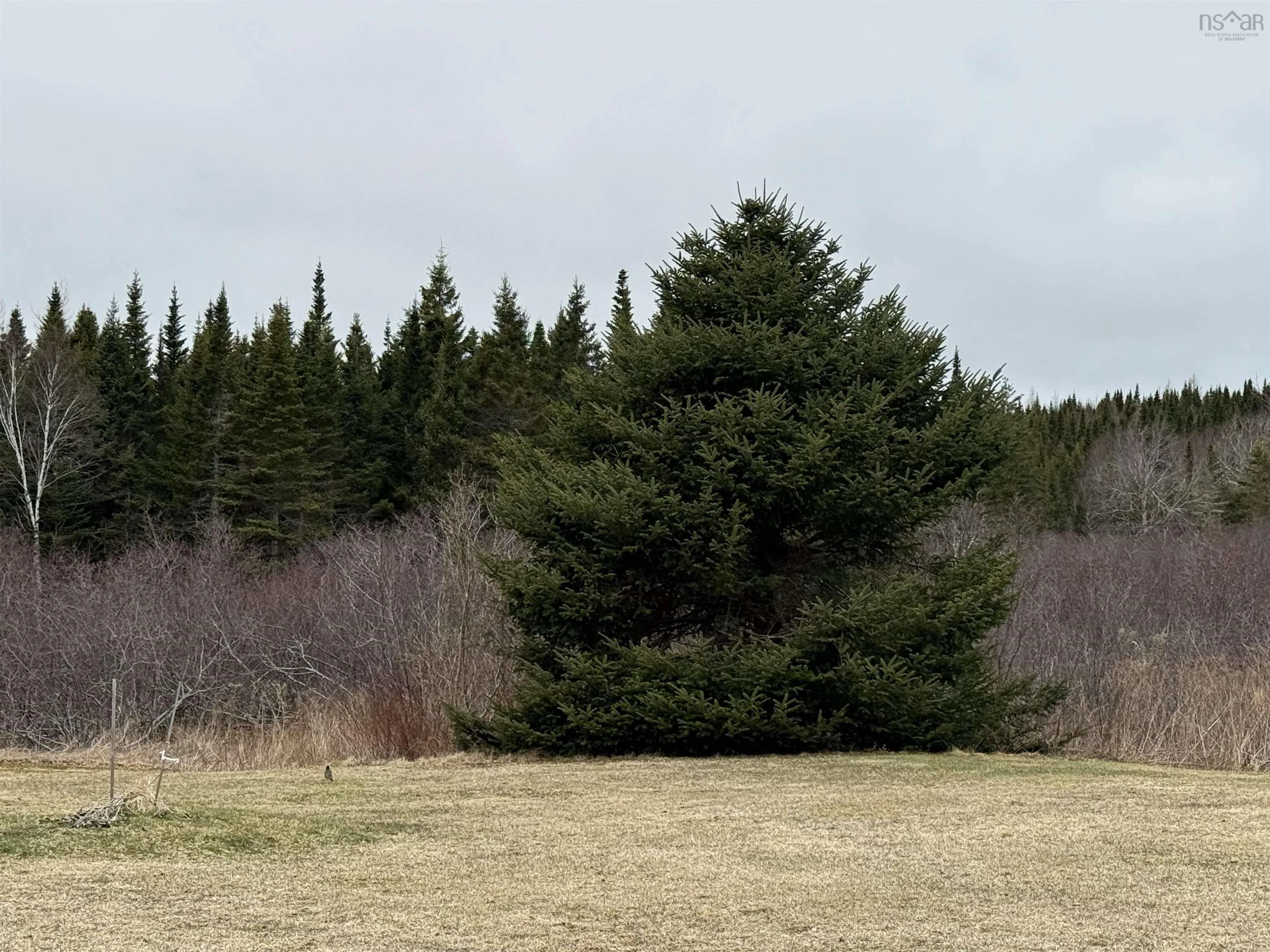 21067 316 Highway, Goshen Ns B0h 1m0, 3 Bedrooms Bedrooms, ,2 BathroomsBathrooms,Residential,For Sale,316,202508066