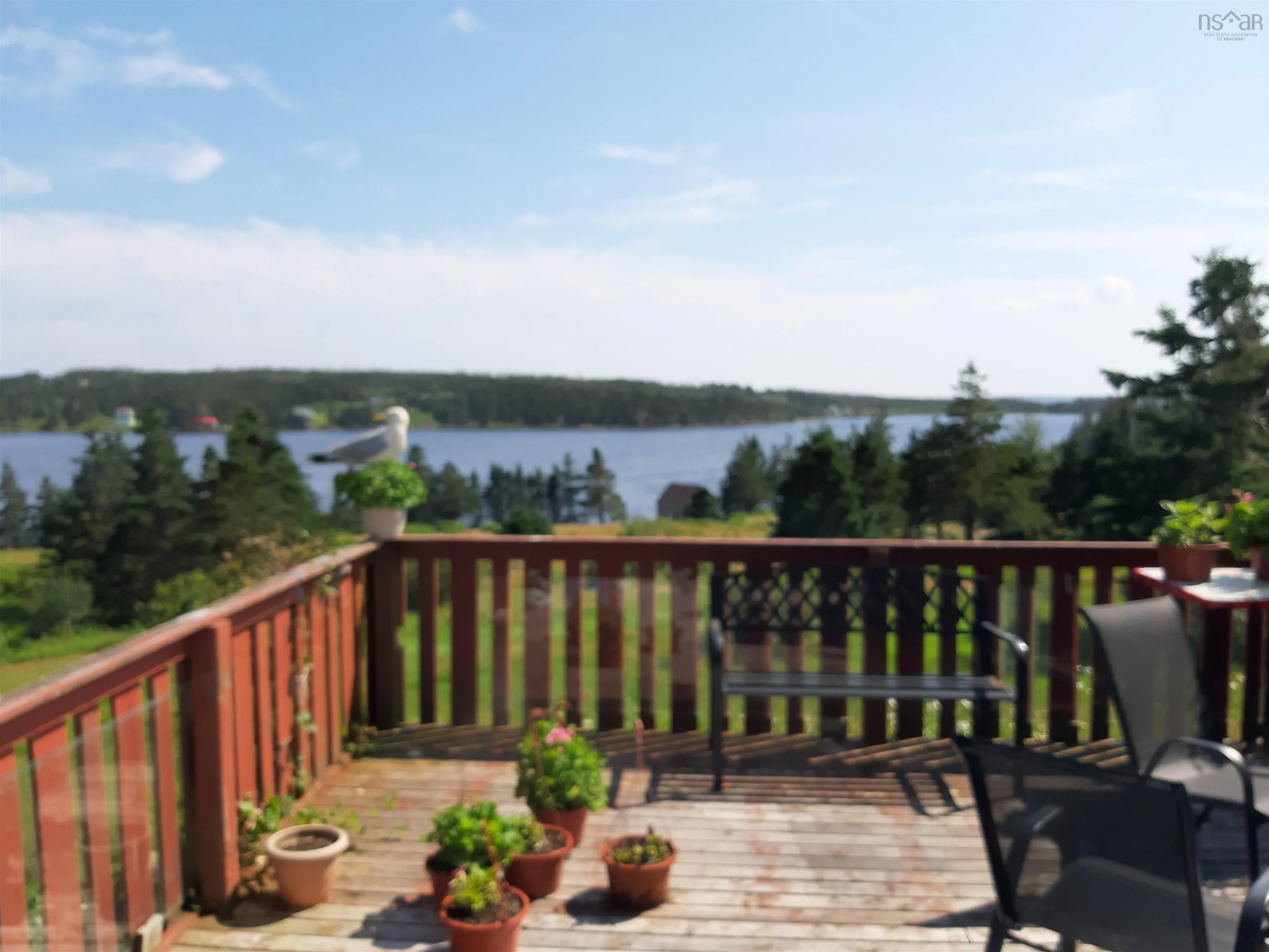 62 Cole Harbour Road, Cole Harbour, NS B2Z 1B9, 1 Bedroom Bedrooms, ,1 BathroomBathrooms,Residential,For Sale,Cole Harbour,202521065