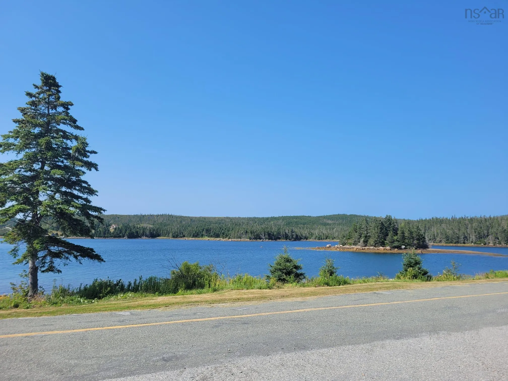 62 Cole Harbour Road, Cole Harbour, NS B2Z 1B9, 1 Bedroom Bedrooms, ,1 BathroomBathrooms,Residential,For Sale,Cole Harbour,202521065