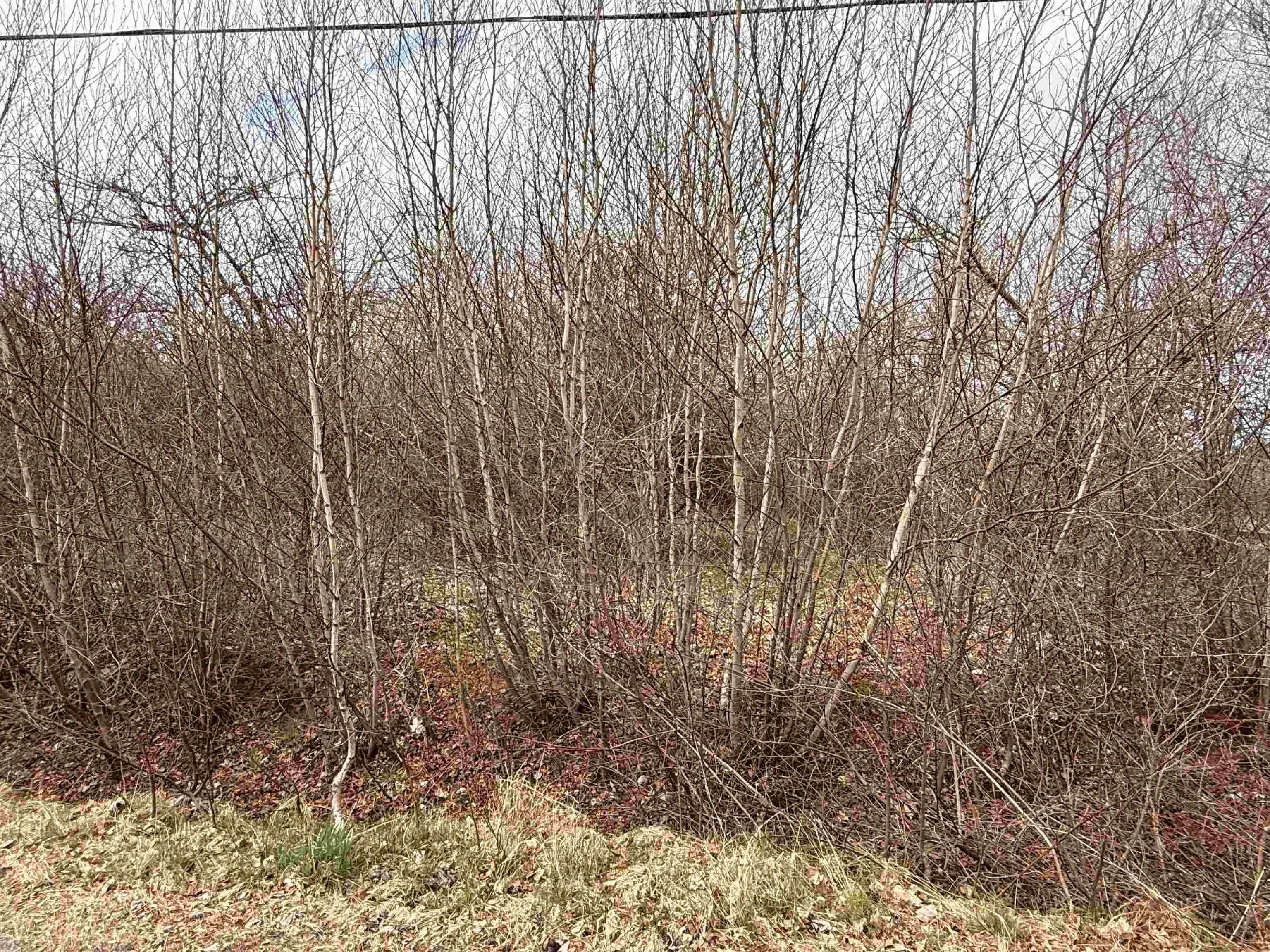 Lot Cavelle Avenue, Canning Ns B0p 1h0, ,Land,For Sale,Cavelle,202509099