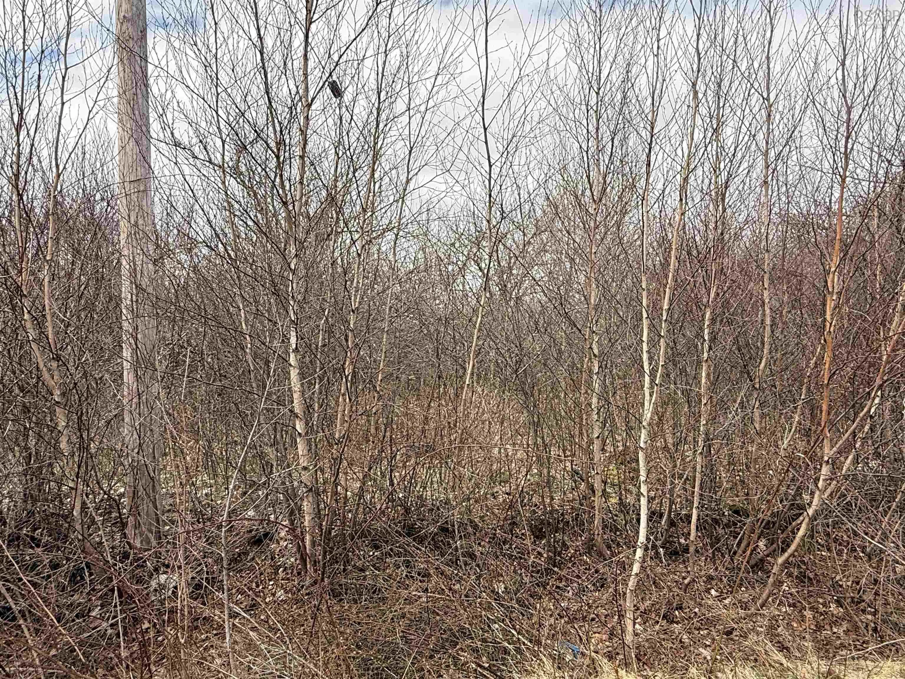 Lot Cavelle Avenue, Canning Ns B0p 1h0, ,Land,For Sale,Cavelle,202509099