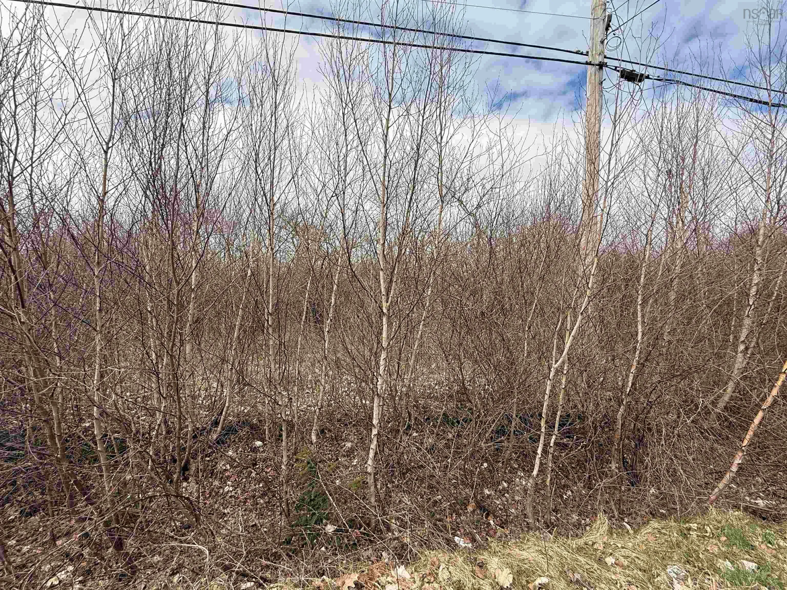 Lot Cavelle Avenue, Canning Ns B0p 1h0, ,Land,For Sale,Cavelle,202509099
