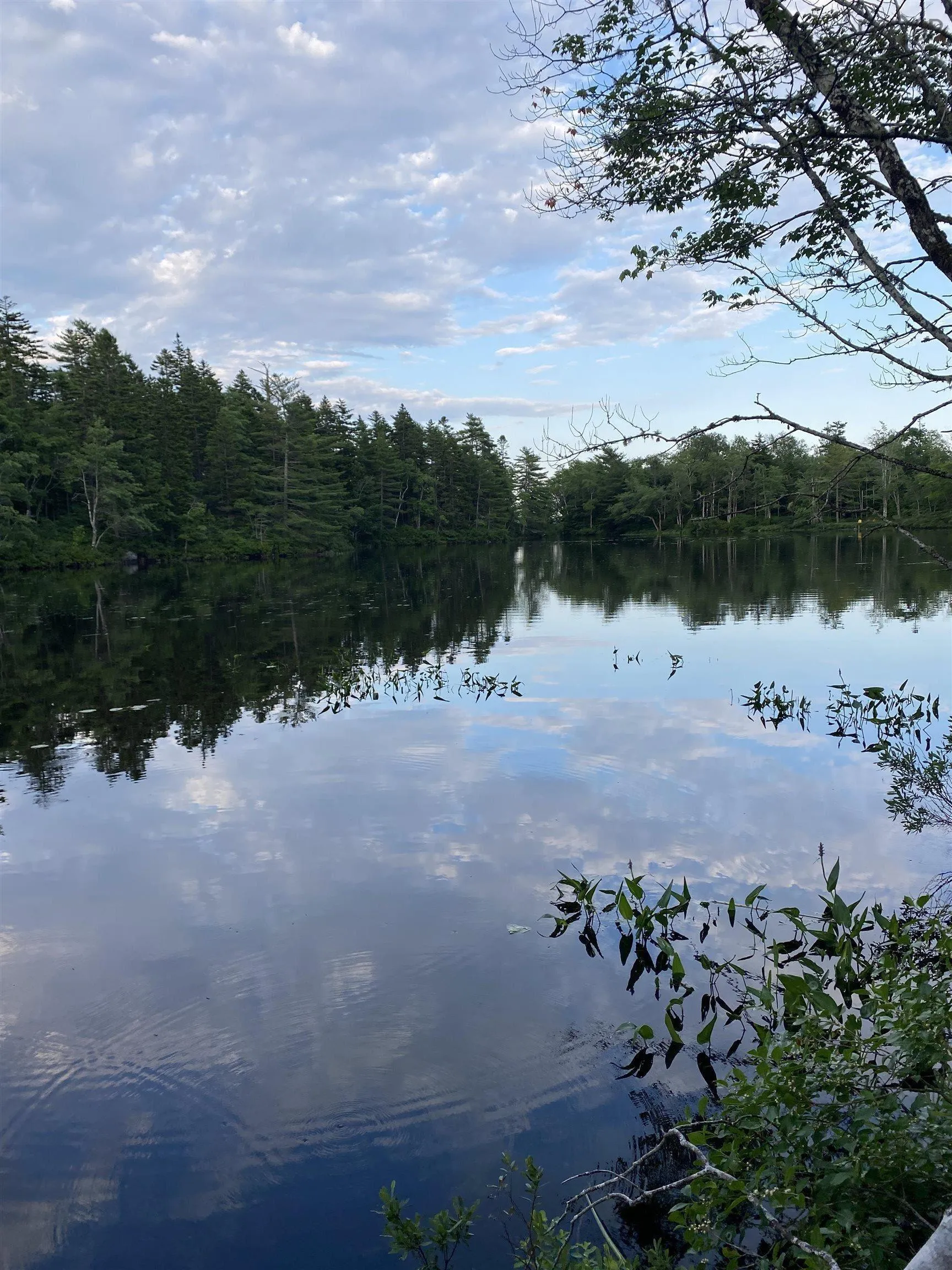 Lot 10 Pigott Lake Road, Lakelands Ns B0n 1z0, ,Land,For Sale,Pigott Lake,202500847