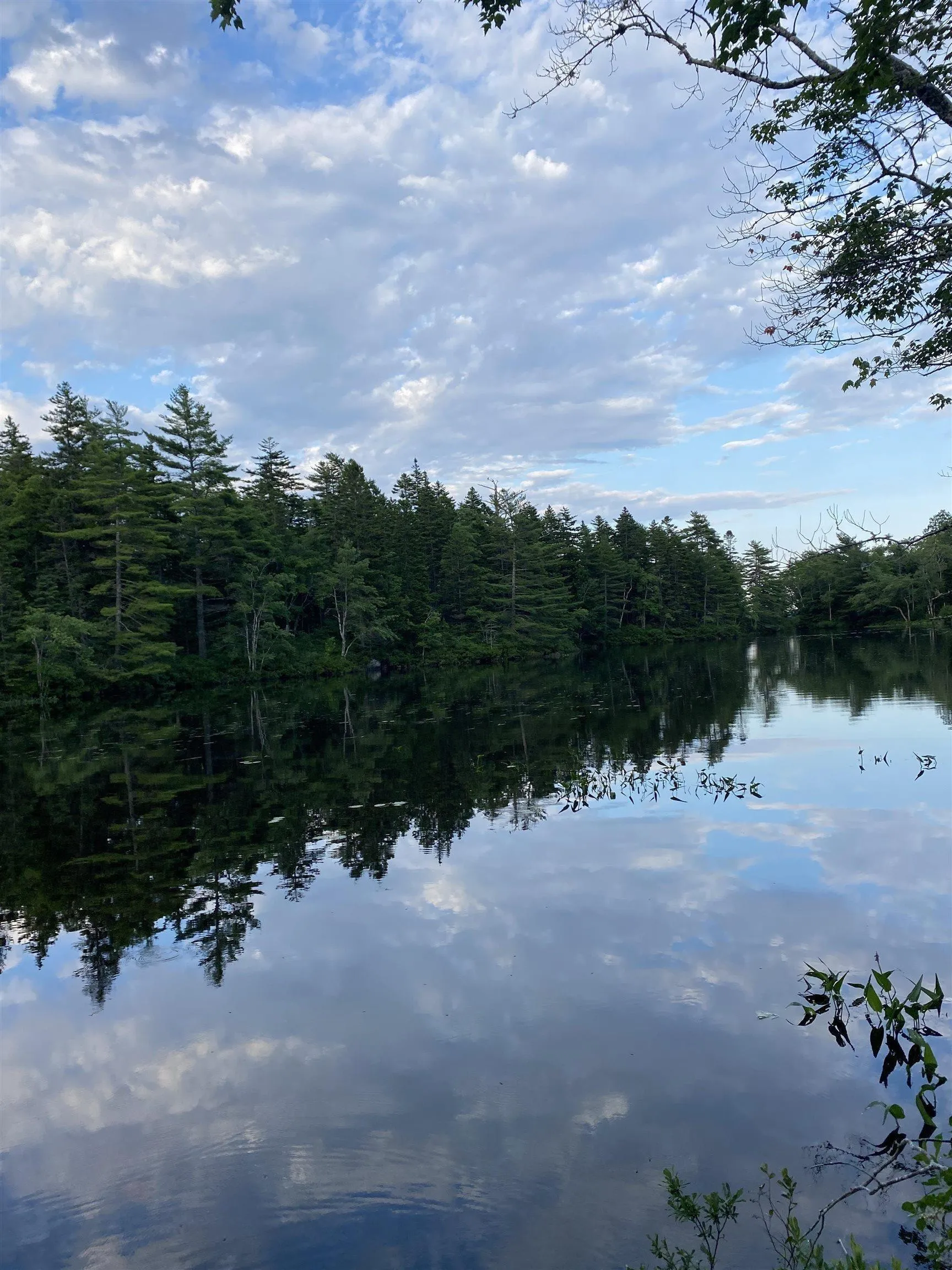 Lot 10 Pigott Lake Road, Lakelands Ns B0n 1z0, ,Land,For Sale,Pigott Lake,202500847