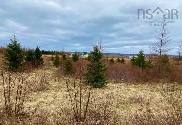 Lot 99 North Shore Road, East Wallace Ns B0k 1e0, ,Land,For Sale,North Shore,202208290