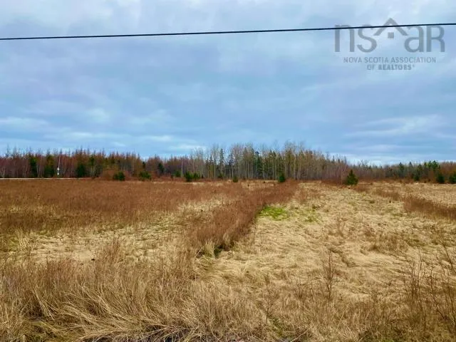 Lot 99 North Shore Road, East Wallace Ns B0k 1e0, ,Land,For Sale,North Shore,202208290