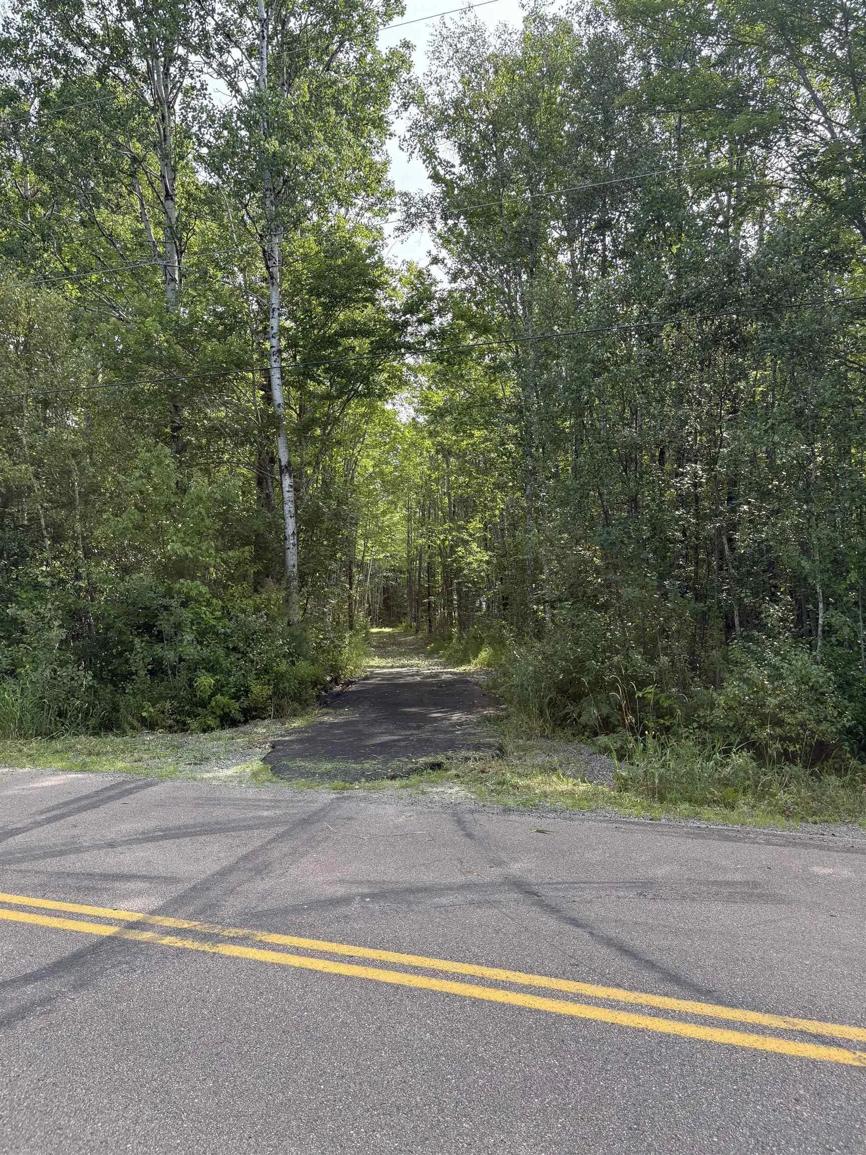 Lot Thompson Road, Millvale, NS B0M 1E0, ,Land,For Sale,Thompson,202521783