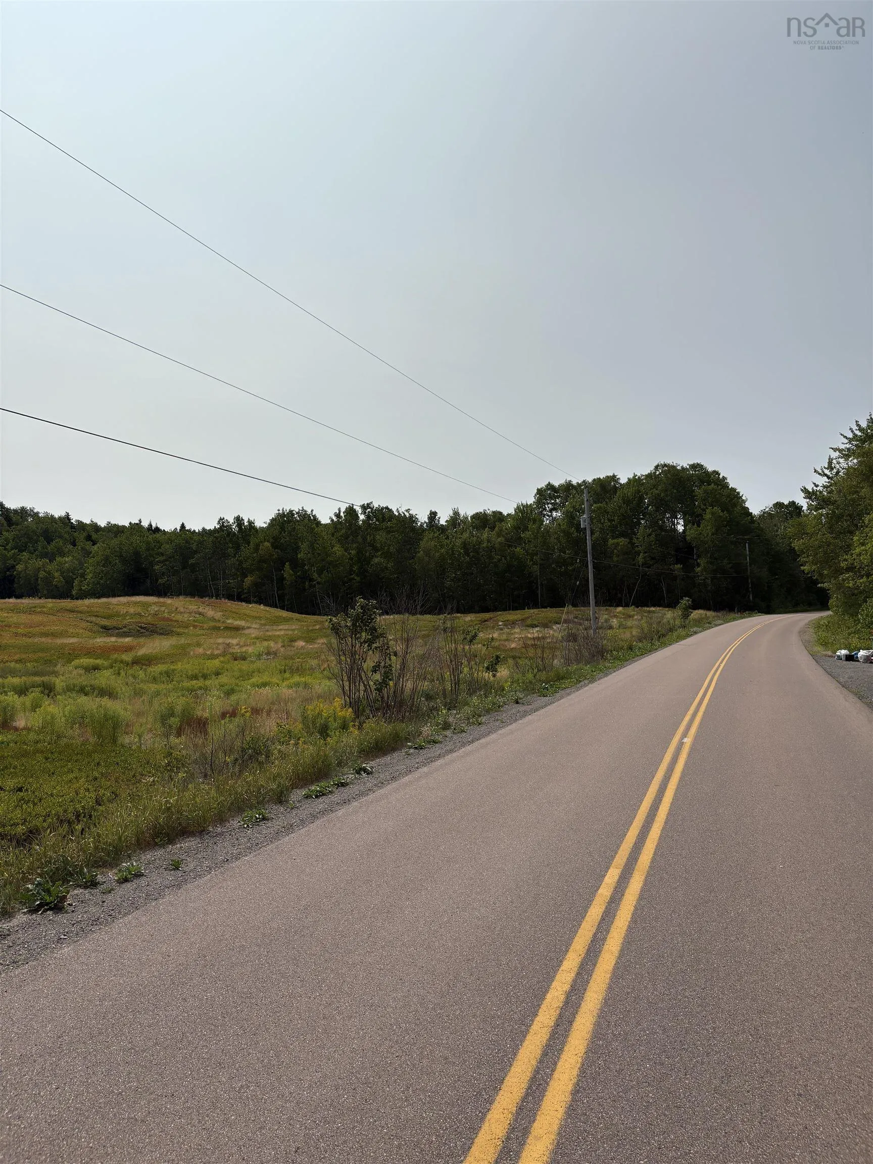 Lot Thompson Road, Millvale, NS B0M 1E0, ,Land,For Sale,Thompson,202521783