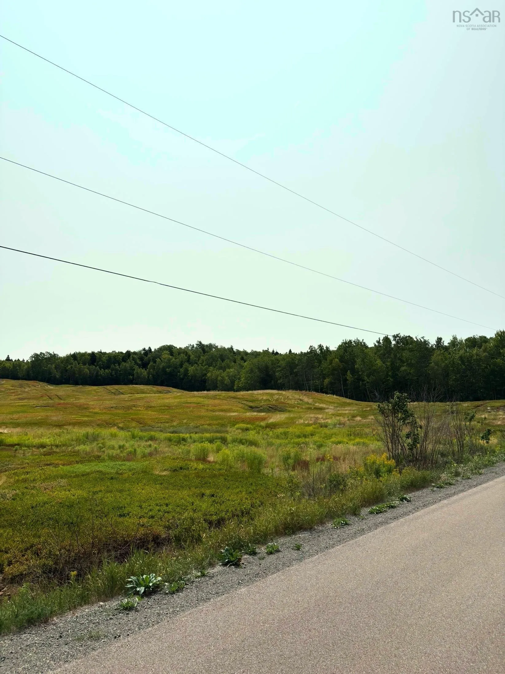 Lot Thompson Road, Millvale, NS B0M 1E0, ,Land,For Sale,Thompson,202521783