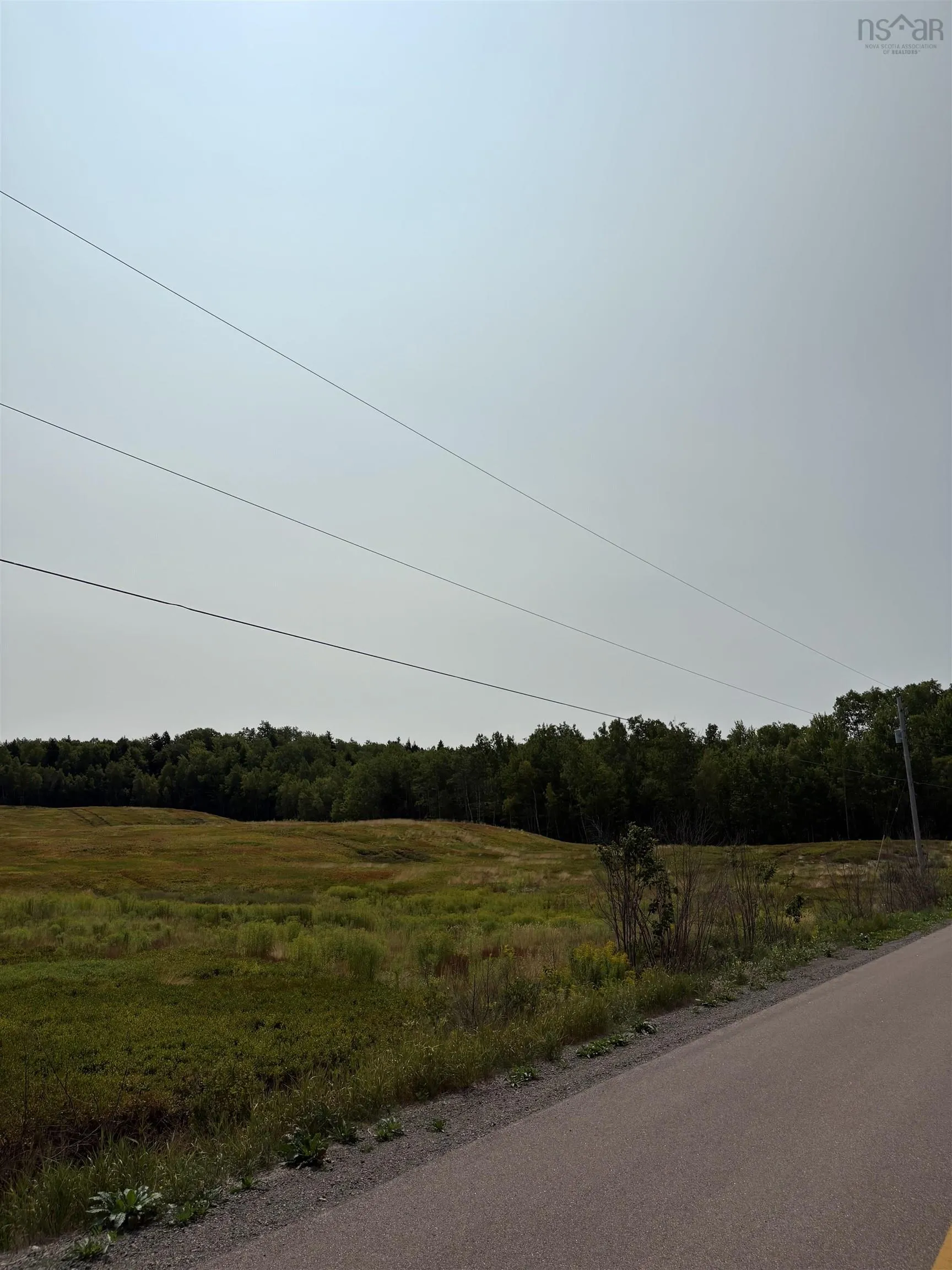 Lot Thompson Road, Millvale, NS B0M 1E0, ,Land,For Sale,Thompson,202521783