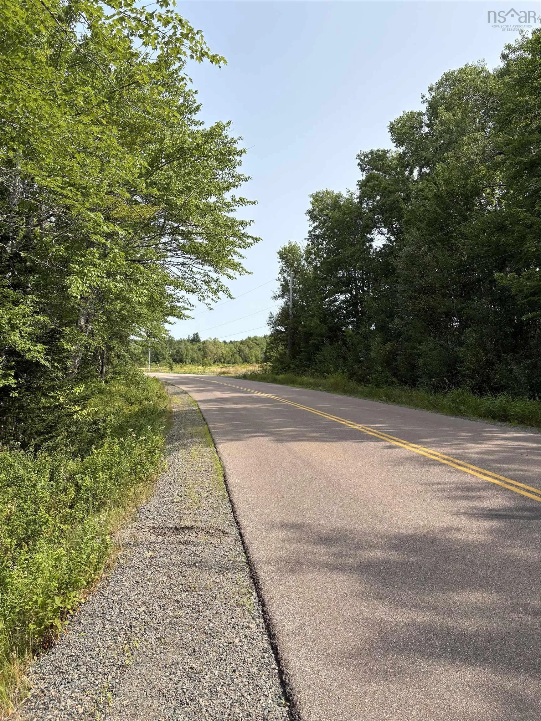 Lot Thompson Road, Millvale, NS B0M 1E0, ,Land,For Sale,Thompson,202521783