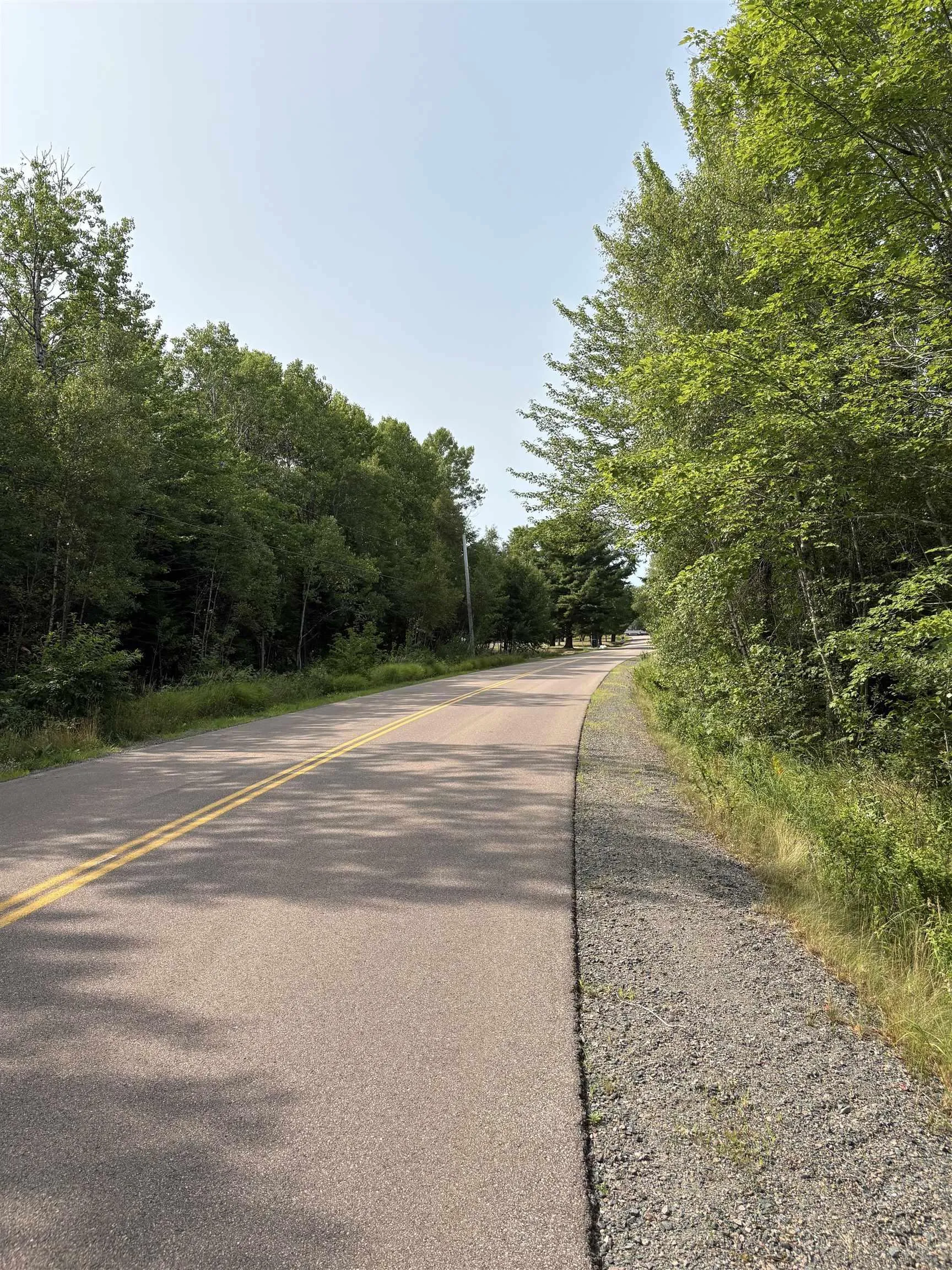 Lot Thompson Road, Millvale, NS B0M 1E0, ,Land,For Sale,Thompson,202521783
