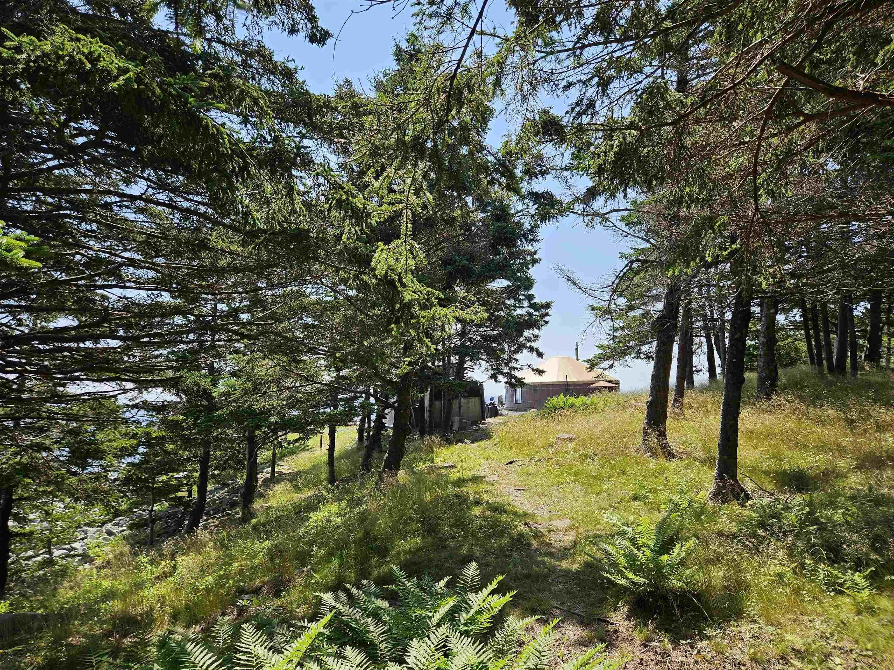 895 Shore Road, Moose Harbour, NS B0T 1K0, ,Land,For Sale,Shore,202518057