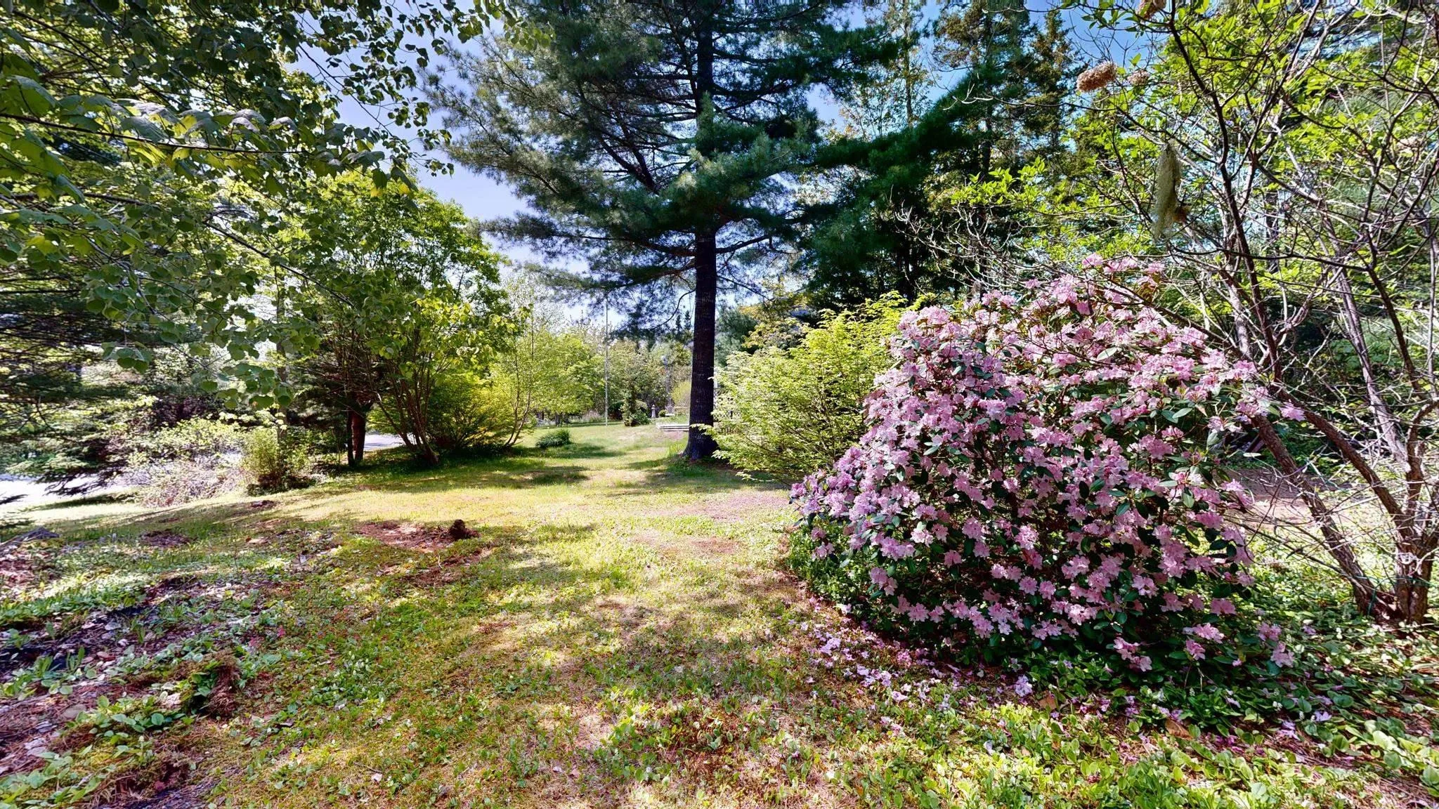 108 Broad River Road, Summerville Centre, NS B0T 1T0, 2 Bedrooms Bedrooms, ,2 BathroomsBathrooms,Residential,For Sale,Broad River,202514334