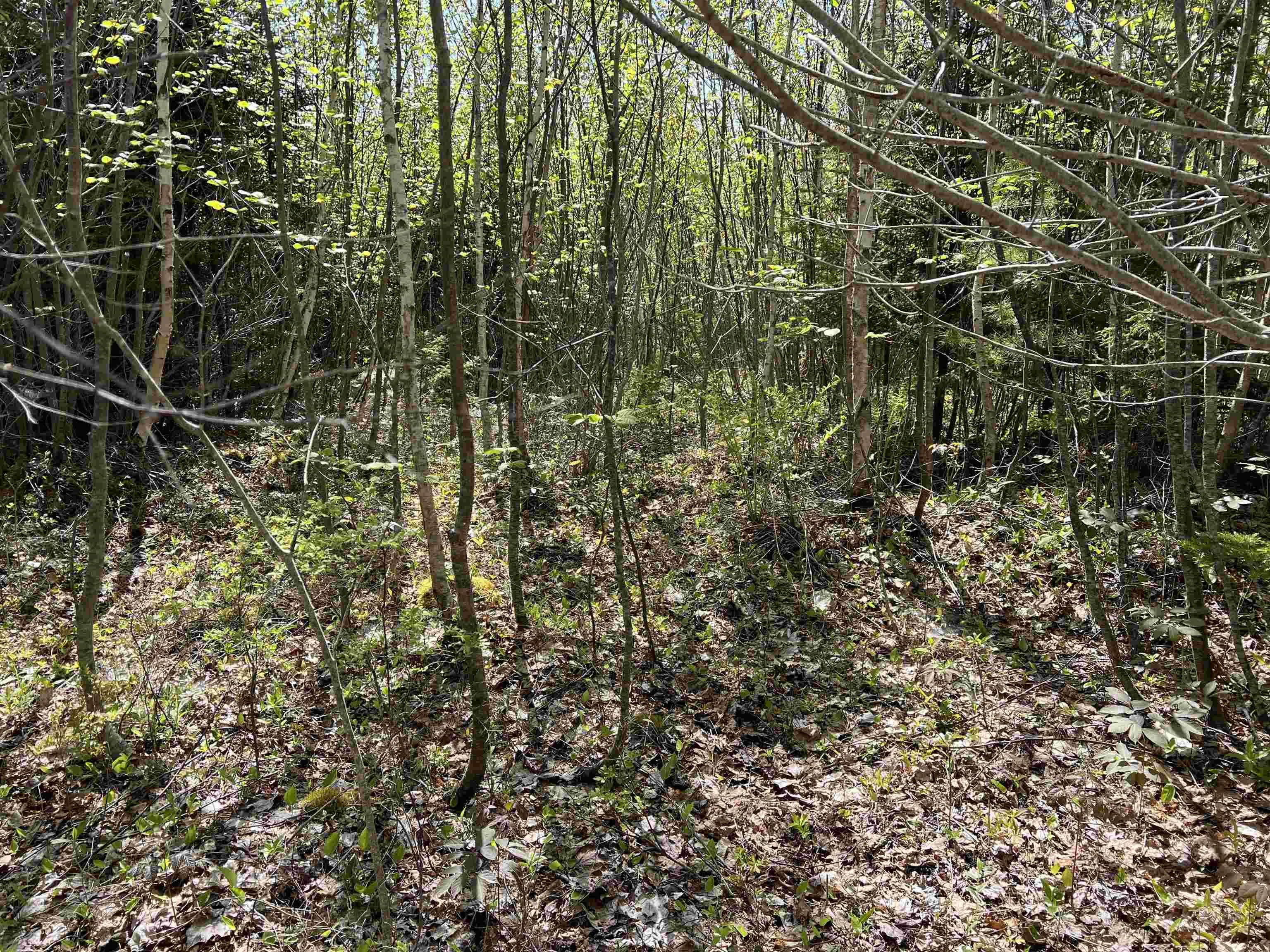 Highway 329 Lot 2a, Deep Cove, NS B0J 1T0, ,Land,For Sale,Highway 329,202514361