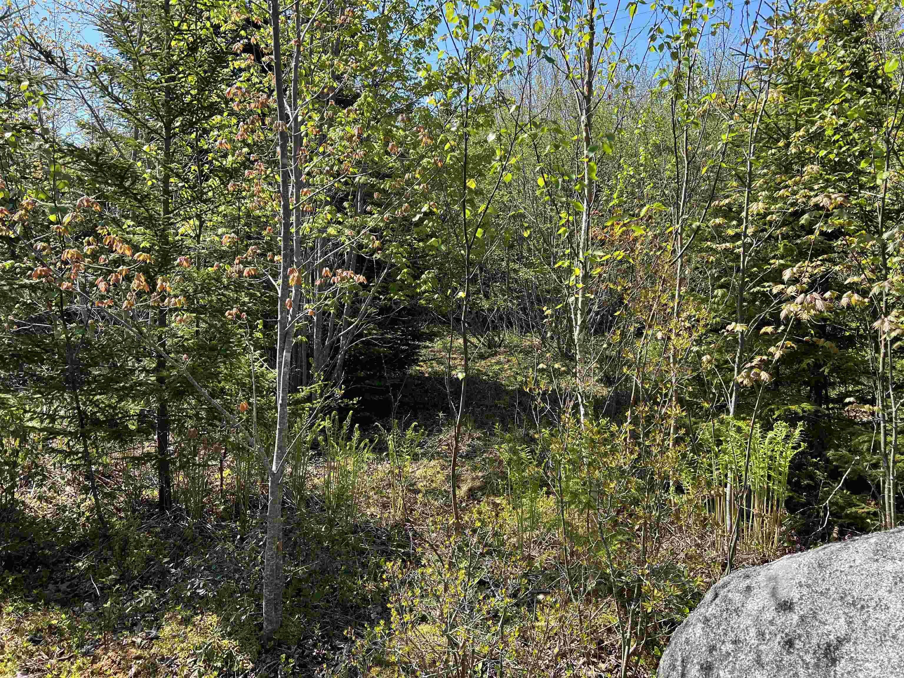Highway 329 Lot 2a, Deep Cove, NS B0J 1T0, ,Land,For Sale,Highway 329,202514361