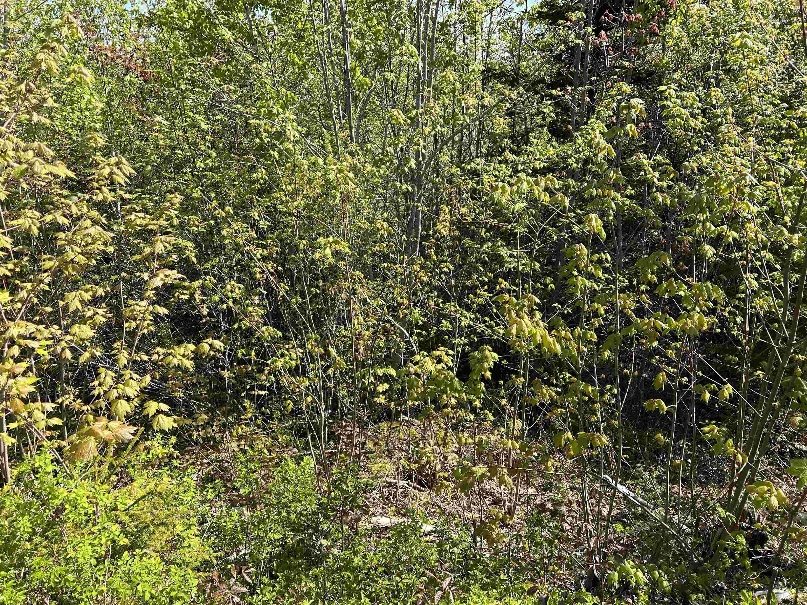 Highway 329 Lot 2a, Deep Cove, NS B0J 1T0, ,Land,For Sale,Highway 329,202514361