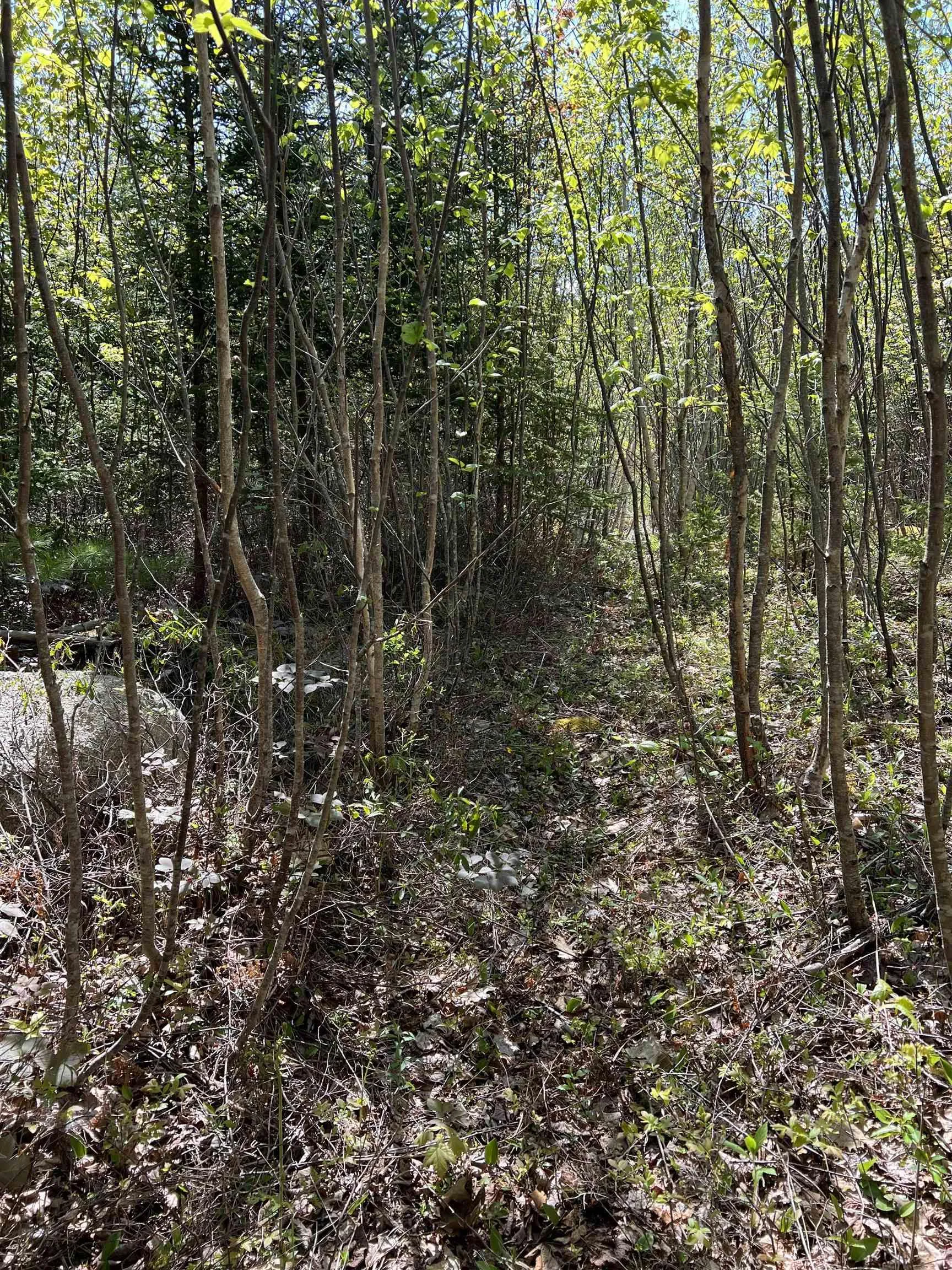 Highway 329 Lot 2a, Deep Cove, NS B0J 1T0, ,Land,For Sale,Highway 329,202514361