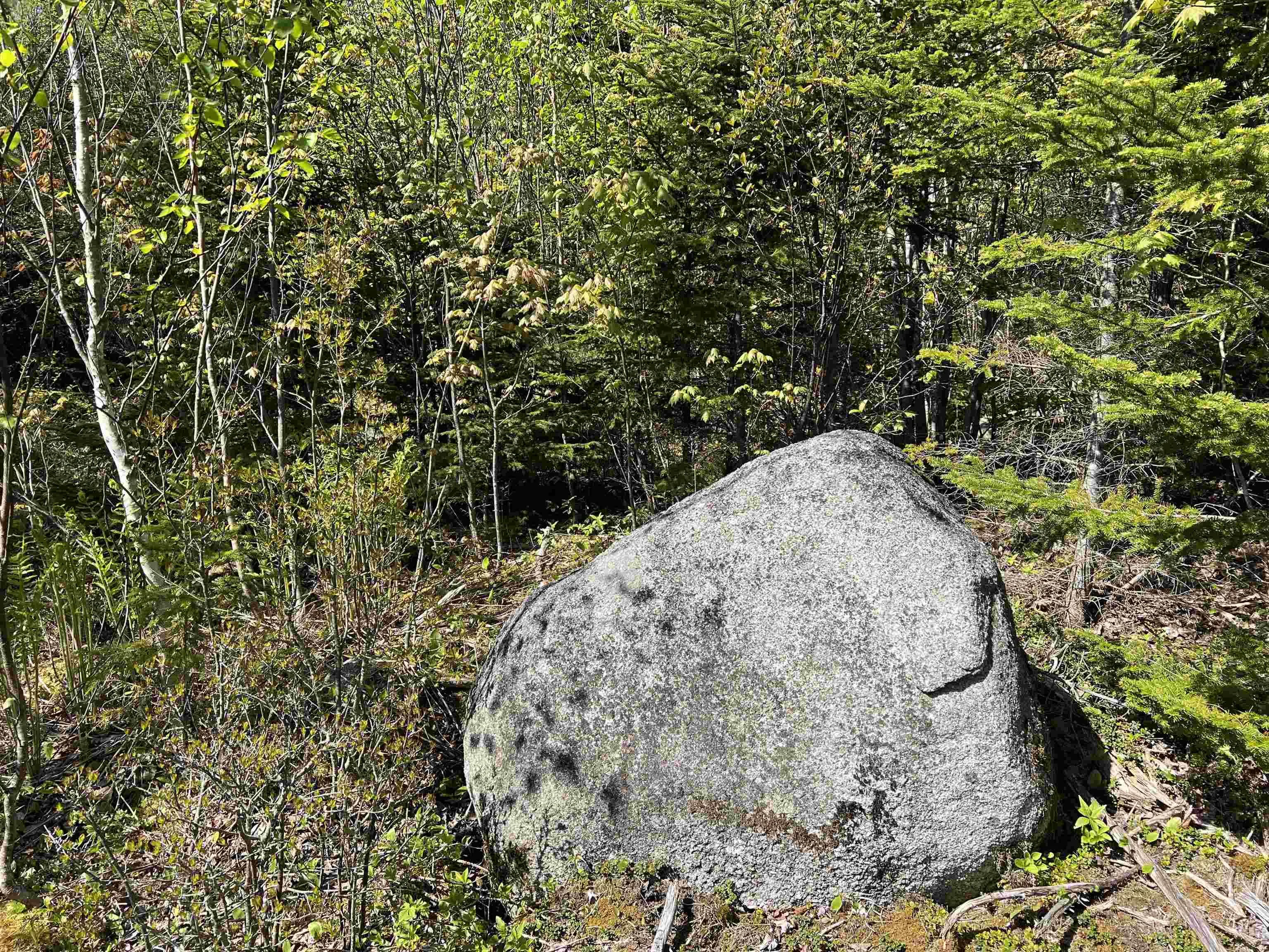 Highway 329 Lot 2a, Deep Cove, NS B0J 1T0, ,Land,For Sale,Highway 329,202514361