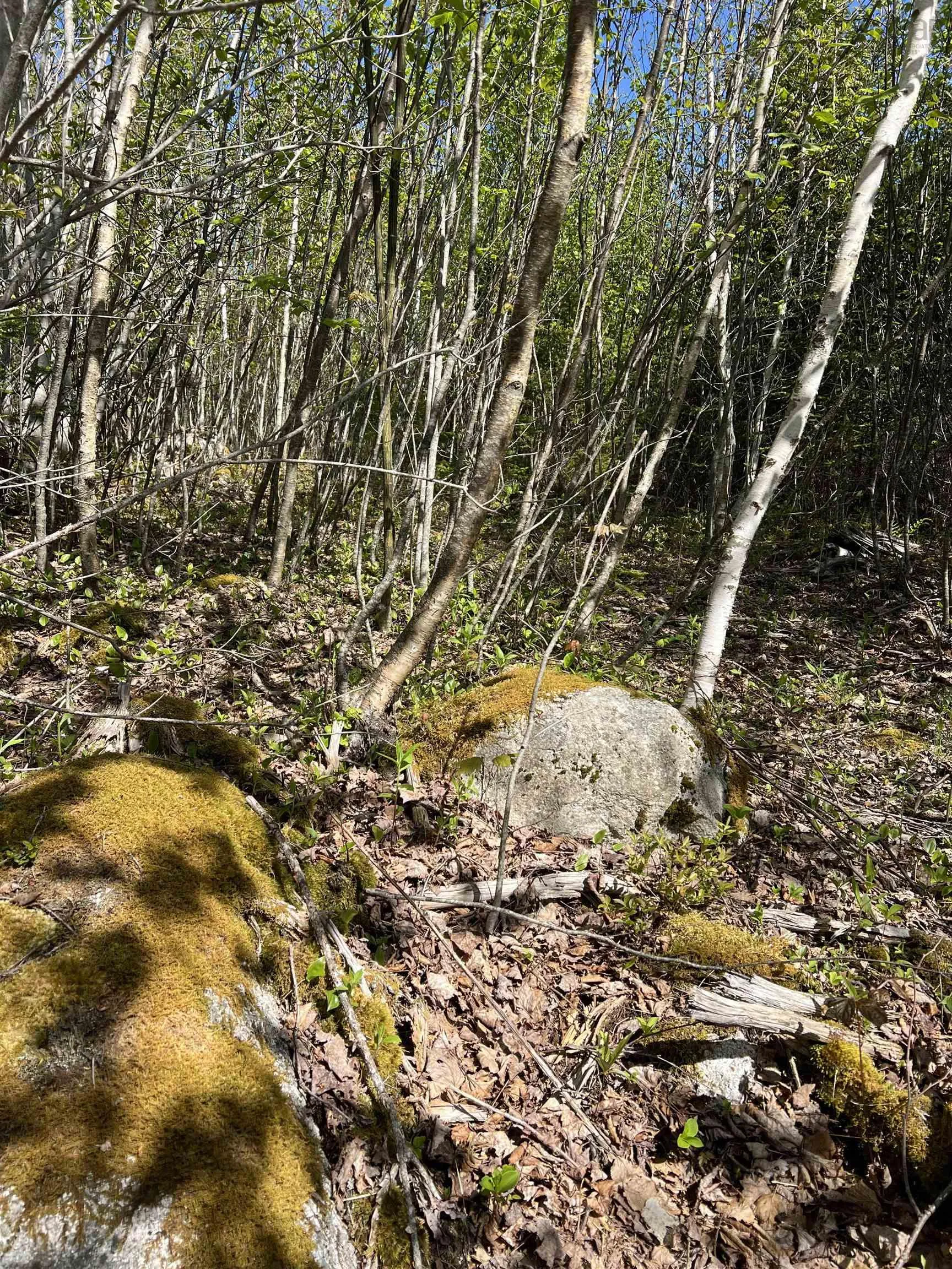 Highway 329 Lot 2a, Deep Cove, NS B0J 1T0, ,Land,For Sale,Highway 329,202514361